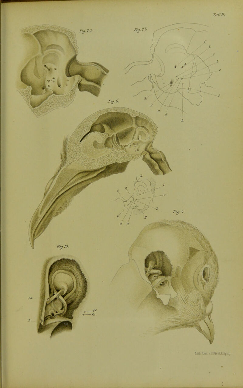 /;//.//. T.ith Ansi.v. C.Hrst.letpzig.