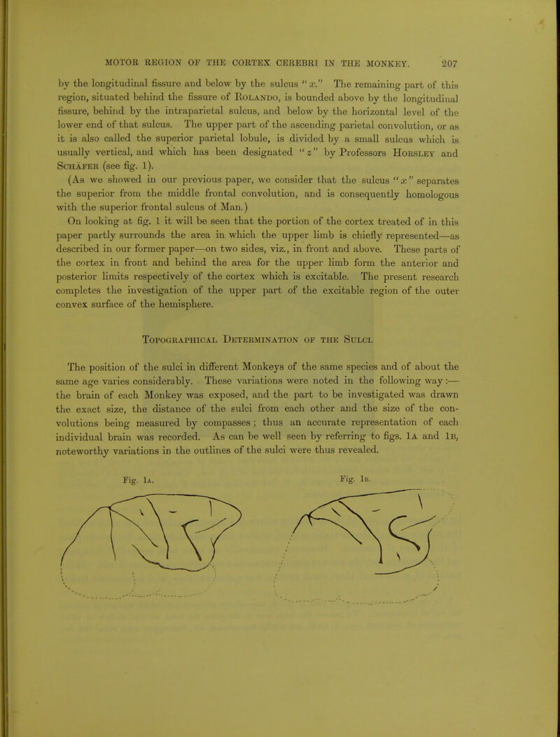 by the longitudinal fissure and below by the sulcus  x. The remaining part of this region, situated behind the fissure of Rolando, is bounded above by the longitudinal fissure, behind by the intraparietal sulcus, and below by the horizontal level of the lower end of that sulcus. The upper part of the ascending parietal convolution, or as it is also called the superior parietal lobule, is divided by a small sulcus which is usually vertical, and which has been designated  z by Professors Horsley and Schafer (see fig. 1). (As we showed in our previous paper, we consider that the sulcus  x separates the superior from the middle frontal convolution, and is consequently homologous with the superior frontal sulcus of Man.) On looking at fig. 1 it will be seen that the portion of the cortex treated of in this paper partly surrounds the area in which the upper limb is chiefly represented—as described in our former paper—on two sides, viz., in front and above. These parts of the cortex in front and behind the area for the upper limb form the anterior and posterior limits respectively of the cortex which is excitable. The present research completes the investigation of the upper part of the excitable region of the outer convex surface of the hemisphere. Topographical Determination of the Sulci. The position of the sulci in different Monkeys of the same species and of about the same age varies considerably. These variations were noted in the following way:— the brain of each Monkey was exposed, and the part to be investigated was drawn the exact size, the distance of the sulci from each other and the size of the con- volutions being measured by compasses ; thus an accurate representation of each individual brain was recorded. As can be well seen by referring to figs. 1a and 1b, noteworthy variations in the outlines of the sulci were thus revealed. Fig. 1a. Fig. 1b.