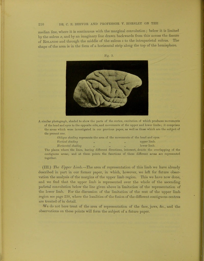 median line, where it is continuous with the marginal convolution ; below it is limited by the sulcus x, and by an imaginary line drawn backwards from this across the fissure of Rolando and through the middle of the sulcus z to the interparietal sulcus. The shape of the area is in the form of a horizontal strip along the top of the hemisphere. Fig. 3. A similar photograph, shaded to show the parts of the cortex, excitation of which produces movements of the head and eyes to the opposite side, and movements of the upper and lower limbs ; it comprises the areas which were investigated in our previous paper, as well as those which are the subject of the present one. Oblique shading represents the area of the movements of the head and eyes. Vertical shading ,, ,, „ upper limb. Horizontal shading „ ,, ,, lower limb. The places where the lines, having different directions, intersect, denote the overlapping of the contiguous areas; and at these points the functions of these different areas are represented together. (III.) Tlie Upper Limb.—The area of representation of this limb we have already described in part in our former paper, in which, however, we left for future obser- vation the analysis of the margins of the upper limb region. This we have now done, and we find that the upper limb is represented over the whole of the ascending parietal convolution below the line given above in limitation of the representation of the lower limb. For the discussion of the limitation of the rest of the upper limb region see page 238, where the localities of the fusion of the different contiguous centres are treated of in detail. We do not here treat of the area of representation of the face, jaws, &c, and the observations on these points will form the subject of a future paper.