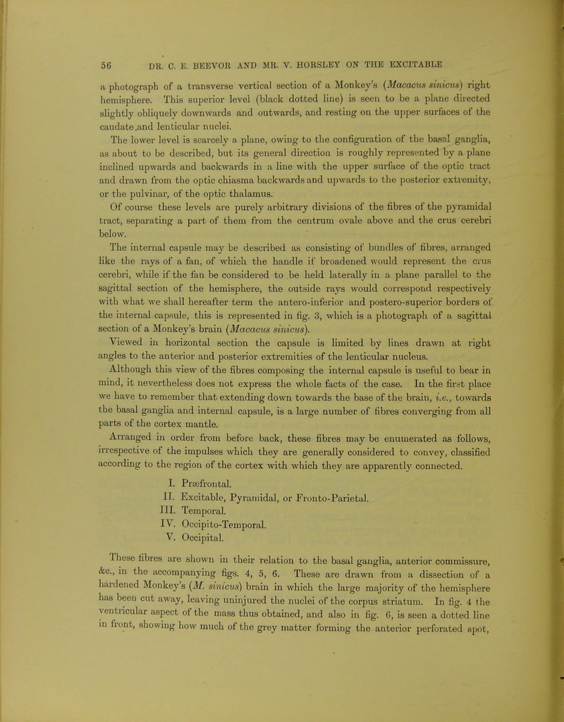 a photograph of a transverse vertical section of a Monkey's (Macacus sinicus) right hemisphere. This superior level (black dotted line) is seen to be a plane directed slightly obliquely downwards and outwards, and resting on the upper surfaces of the caudate .and lenticular nuclei. The lower level is scarcely a plane, owing to the configuration of the basal ganglia, as about to be described, but its general direction is roughly represented by a plane inclined upwards and backwards in a line with the upper surface of the optic tract and drawn from the optic chiasma backwards and upwards to the posterior extremity, or the pulvinar, of the optic thalamus. Of course these levels are purely arbitrary divisions of the fibres of the pyramidal tract, separating a part of them from the centrum ovale above and the cms cerebri below. The internal capsule may be described as consisting of bundles of fibres, arranged like the rays of a fan, of which the handle if broadened would represent the crus cerebri, while if the fan be considered to be held laterally in a plane parallel to the sagittal section of the hemisphere, the outside rays would correspond respectively with what we shall hereafter term the antero-inferior and postero-superior borders of the internal capsule, this is represented in fig. 3, which is a photograph of a sagittal section of a Monkey's brain (Macacus sinicus). Viewed in horizontal section the capsule is limited by lines drawn at right angles to the anterior and posterior extremities of the lenticular nucleus. Although this view of the fibres composing the internal capsule is useful to bear in mind, it nevertheless does not express the whole facts of the case. In the first place we have to remember that extending down towards the base of the brain, i.e., towards the basal ganglia and internal capsule, is a large number of fibres converging from all parts of the cortex mantle. Arranged in order from before back, these fibres may be enumerated as follows, irrespective of the impulses which they are generally considered to convey, classified according to the region of the cortex with which they are apparently connected. I. Prefrontal. II. Excitable, Pyramidal, or Pronto-Parietal. III. Temporal. IV. Occipito-Temporal. V. Occipital. These fibres are shown in their relation to the basal ganglia, anterior commissure, &c, in the accompanying figs. 4, 5, 6. These are drawn from a dissection of a hardened Monkey's (M. sinicus) brain in which the large majority of the hemisphere has been cut away, leaving uninjured the nuclei of the corpus striatum. In fig. 4 the ventricular aspect of the mass thus obtained, and also in fig. 6, is seen a dotted line in front, showing how much of the grey matter forming the anterior perforated spot,