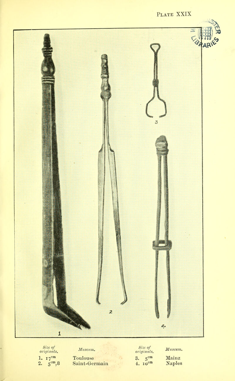 1. I7cm Toulouse 3. 5cm Mainz 2. 5cm,8 Saint-Germain 4. iocm Naples