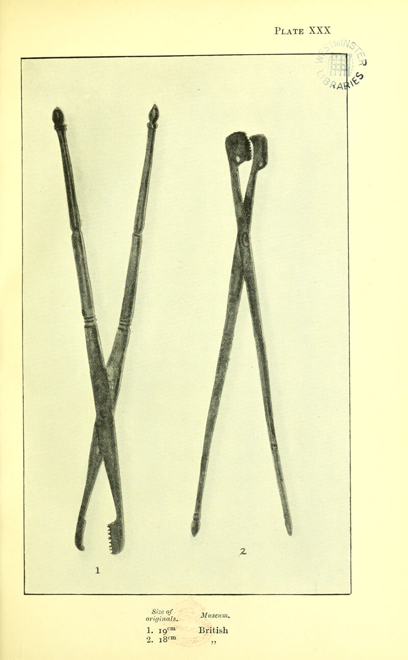 1. i9cm British 2. i8cm ,,