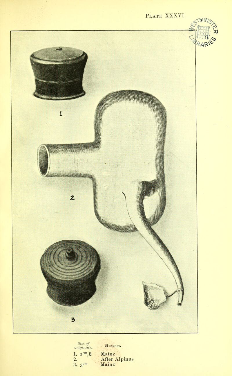 3 Masco, m. Mainz After Alpinus Mainz Size OJ original.-;. 1. 2cm,8 2. 3'. 3cra