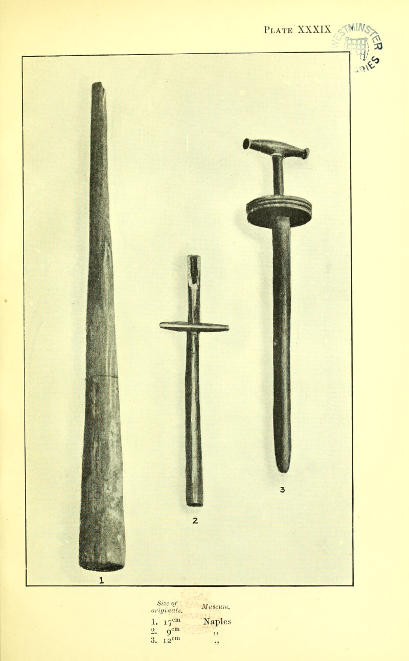 Plate XXXIX < ': Shlr0J] Masciuu. onyiiials. 1. i7cm Naples 9 ocni