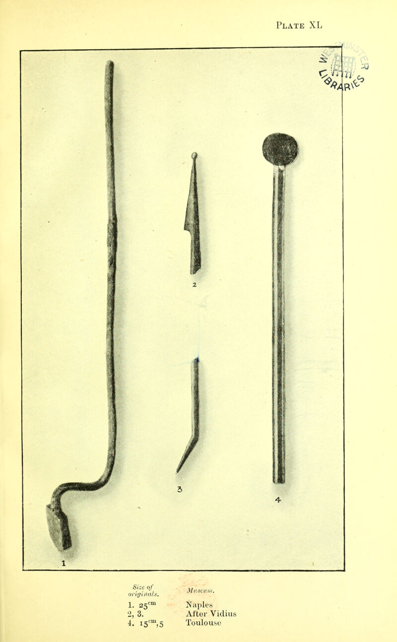 1. 25cm Naples 2, 3. After Vidius 4. i5cm,5 Toulouse