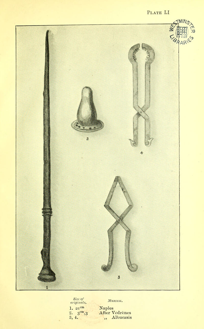 S.ize °f7 Museum, originals. 1. 2icm Naples 2. 3cm,3 After Vedrenes