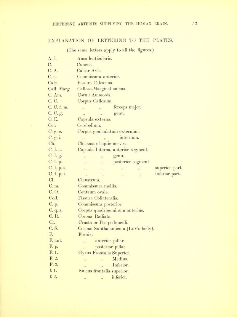 EXPLANATION OF LETTERING TO THE PLATES. (The same letters apply to all the figures.) A. 1. Ansa lenticularis. C. Cuneus. C. A. Calcar Avis. C. a. Commissura anterior. Calc. Fissura Calcarina. Call. Marg. Calloso-Marginal sulcus. C. Am. Cornu Ammonis. C. C. Corpus Callosum. C. C. f. m. ,, ,, forceps major. C. C. g. „ „■ genu. C. E. Capsula externa. Cer. Cerebellum. C. g. e. Corpus geniculatum externum. C. g. i. ,, ,, internum. Ch. Chiasma of optic nerves. C. I. a. Capsula Interna, anterior segment. 0.1. g. „ „ genu. C. I. p. „ posterior segment. C. I. p. s. ,, ,, ,, superior part. C. I. p. i. ,, ,, ,, inferior part. CI. Claustrum. C. m. Commissura mollis. C. 0. Centrum ovale. Coll. Fissura Collateralis. C. p. Commissura posterior. C. q. a. Corpus quadrigeminum anterius. C. R. Corona Radiata. Cr. Crusta or Pes pedunculi. C. S. Corpus Subthalamicum (Luy's body). F. Fornix. F. ant. ,, anterior pillar. F. p. „ posterior pillar. F. 1. Gyrus Frontalis Superior. F. 2. „ „ Medius. F. 3. ,, „ Inferior. f. 1. Sulcus frontalis superior. f. 2. inferior.
