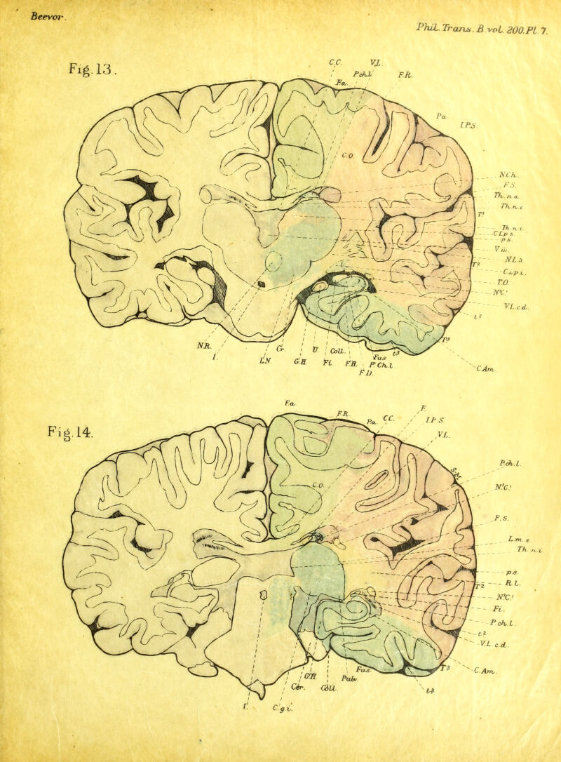 heevoT Phil. Trarts.£ vol. 200.Pl 7.
