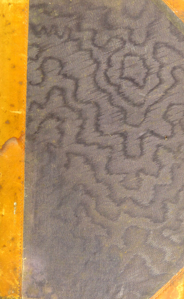 digitised image 1