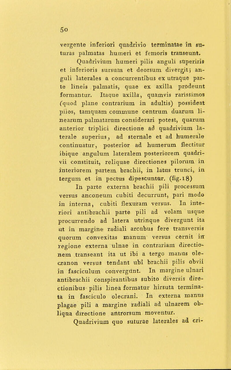 vergente inferiori quadrivio terminatae in su- turas palmatas humeri et femoris transeunt. Quadrivium humeri pilis anguli superiris et inferioris sursutn et deorsum divergit; an- guli laterales a concurrentibus ex utraque par- te lineis . palmatis, quae ex axilla prodeunt formantur. Itaque axilla, quamvis rarissimos Cquod plane contrarium in adultis) possideat piios, tamquam commune centrum duarum li- nearum palmatarum considerari potest, quarum anterior triplici directione ac) quadrivium la- terale superius^ ad sternale et ad humerale continuatur, posterior ad humerum flectitur ibique angulum lateralem posteriorem quadri- vii constituit, reliquae directiones pilorum in jnteriorem partem, brachii, in latus trunci, in tergum et in pectus dipescunt&r. (fig. 18) In parte externa brachii pili processum versus anconeum cubiti decurrunt, pari modo in interna, cubiti flexuram versus. In inte- riori antibrachii parte pili ad volam usque procurrendo ad latera utrinque divergunt ita ut in margine radiali arcubus fere transversis quorum convexitas manum versus cemit irr regione externa ulnae in contrariam directio- nem transeant ita ut ibi a tergo manus ole- cranon versus tendant ubi brachii pilis obvii in fasciculum convergdnt. In margine ulnari antibrachii conspirantibus subito diversis dire- ctionibus pilis linea formatur hirsuta termina- ta in fasciculo olecrani. In externa manus plagae pili a margine radiali ad ulnarem ob- liqua directiorte antrorsum moventur. Quadrivium quo suturae laterales ad cri-