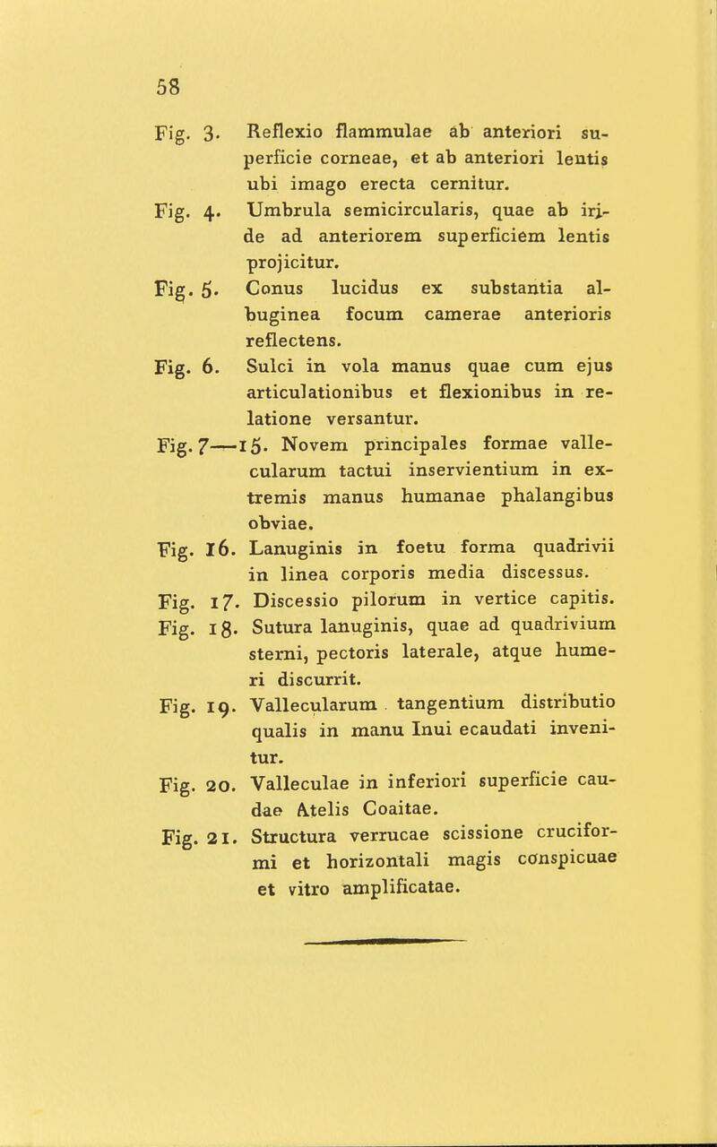 Fig. 3- Reflexio flammulae ab anteriori su- perficie corneae, et ab anteriori lentis ubi imago erecta cernitur. Fig. 4. Umbrula semicircularis, quae ab iri- de ad anteriorem superficiem lentis projicitur. Fig. 5. Conus lucidus ex substantia al- buginea focum camerae anterioris reflectens. Fig. 6. Sulci in vola manus quae cum ejus articulationibus et flexionibus in re- latione versantur. Fig. 7—15- Novem principales formae valle- cularum tactui inservientium in ex- tremis manus humanae phalangibus obviae. Fig. l6. Lanuginis in foetu forma quadrivii in linea corporis media diseessus. Fig. 17. Discessio pilorum in vertice capitis. Fig. 18- Sutura lanuginis, quae ad quadriviurn sterni, pectoris laterale, atque hume- ri discurrit. Fig. 19. Vallecularum . tangentium distributio qualis in manu Inui ecaudati inveni- tur. Fig. 20. Valleculae in inferiori superficie cau- dae A.telis Coaitae. Fig. 21. Structura verrucae scissione crucifor- mi et horizontali magis conspicuae et vitro amplificatae.