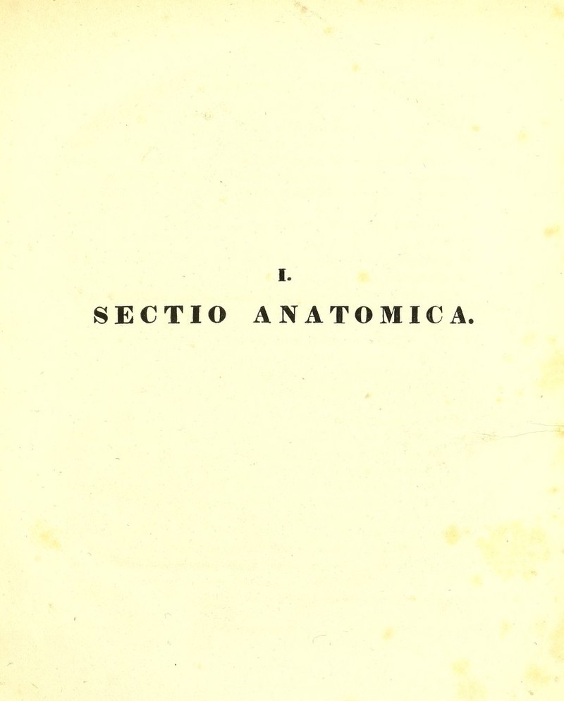 SECTIO ANATOMICA.