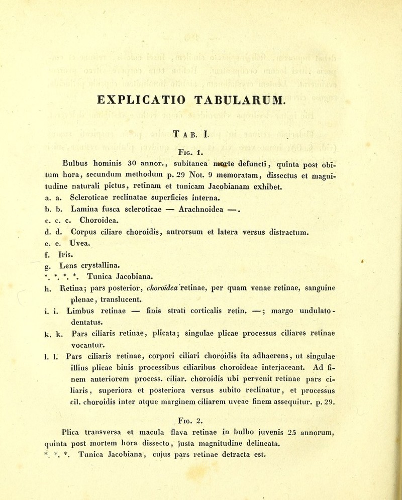 EXPLICATIO TABULARUM. Tab. I. Fig. 1. Bulbus hominis 30 annor., subitanea imacte defuncli, quiuta post obi- tutn Lora, secundum methodum p. 29 Not. 9 memoratam, dissectus et magui- tudine naturali pictus, retinaiu et tuuicam Jacobianam exhibet. a. a, Scleroticae reclinatae superficies interna. b. b. Lamina fusca scleroticae — Arachnoidea —. c. c. c. Choroidea. d. d. Corpus ciliare choroidis, antrorsum et latera versus distractum. e. e. Uvea. f. Iris. g. Lens crystallina. *. *. *. *. Tunica Jacoblana. h. Retina; pars posterior, choroidea'retinae, per quam venae retinae, sangulne plenae, translucent. i. i. Limbus retinae — finis strati corticalis retin. —; margo undulato- dentatus. k. k. Pars ciliaris retinae, plicata; siugulae pllcae processus ciliares retinae vocantur. L 1. Pars ciliaris retinae, corpori cillari choroidis ita adhaerens, ut singulae illius pllcae binis processibus ciliaribus choroldeae interjaceant. Ad fi- nem anteriorem process, cUiar. choroidis ubi pervenit retinae pars ci- liaris , superiora et posteriora versus subito reclinatur, et processus eil. choroidis inter alque marginem ciliarem uveae finem assequitur. p. 29. Fig. 2. Plica transversa et macula flava retinae in bulbo juvenls 25 annorum, quinta post mortem liora dissecto, justa magnitudine deliueata. *. *. *. Tunica Jacoblana, cujus pars retinae detracta est.