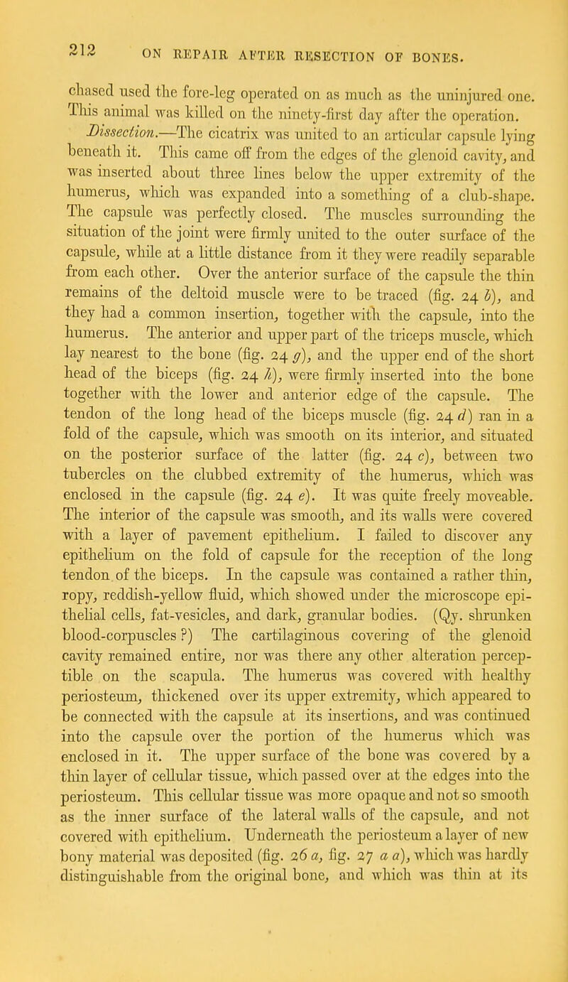 chased used the fore-leg operated on as much as the uninjured one. Tliis animal was killed on the ninety-first day after the operation. Dissection.—The cicatrix was united to an articular capsule lying beneath it. This came off from the edges of the glenoid cavity, and was inserted about three lines below the upper extremity of the humerus, wliich was expanded into a something of a club-shape. The ca.psule was perfectly closed. The muscles surrounding the situation of the joint were firmly united to the outer surface of the capsule, while at a little distance from it they were readily separable from each other. Over the anterior surface of the capsule the thin remains of the deltoid muscle were to be traced (fig. 24 h), and they had a common insertion, together with the capsule, into the humerus. The anterior and upper part of the triceps muscle, wliich lay nearest to the bone (fig. 24 g), and the upper end of the short head of the biceps (fig. 34 7i), were fii-mly inserted into the bone together with the lower and anterior edge of the capsule. The tendon of the long head of the biceps muscle (fig. 24 d) ran in a fold of the capsule, which was smooth on its interior, and situated on the posterior surface of the latter (fig. 24 e), between two tubercles on the clubbed extremity of the humerus, which was enclosed in the capsule (fig. 24 e). It was quite freely moveable. The interior of the capsule was smooth, and its walls were covered with a layer of pavement epithelium. I failed to discover any epithehum on the fold of capsule for the reception of the long tendon of the biceps. In the capsule was contained a rather thin, ropy, reddish-yeUow fluid, which showed under the microscope epi- thehal ceUs, fat-vesicles, and dark, granular bodies. (Qy. shrunken blood-corpuscles ?) The cartilaginous covering of the glenoid cavity remained entire, nor was there any other alteration percep- tible on the scapula. The humerus was covered with healthy periosteum, thickened over its upper extremity, which appeared to be connected with the capsule at its insertions, and was continued into the capsule over the portion of the humerus which was enclosed in it. The upper surface of the bone was covered by a thin layer of cellular tissue, which passed over at the edges into the periosteum. This cellular tissue was more opaque and not so smooth as the inner surface of the lateral walls of the capsule, and not covered with epithelium. Underneath the periosteum a layer of new bony material was deposited (fig. 26 a, fig. 27 a a), wliich was hardly distinguishable from the original bone, and which was thin at its