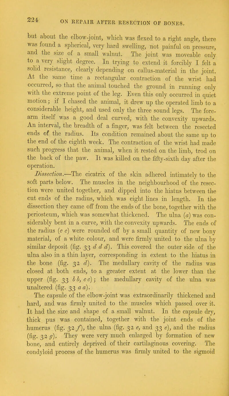 but about the elbow-joint, wliich was flexed to a right angle, tliere was found a spherical, very hard swelling, not painful on pressure, and the size of a small walnut. The joint was moveable only to a very shght degree. In trying to extend it forcibly I felt a solid resistance, clearly depending on callus-material in the joint. At the same time a rectangular contraction of the m'ist had occurred, so tliat the animal touched the ground in running only with the extreme point of the leg. Even tliis only occurred in quiet motion; if I chased the animal, it drew up the operated limb to a considerable height, and used only the tln-ee sound legs. The fore- arm itself was a good deal curved, with the convexity upwards. An interval, the breadth of a finger, was felt between the resected ends of the radius. Its condition remained about the same up to the end of the eighth week. The contraction of the wrist had made such progress that the animal, when it rested on the hmb, trod on the back of the paw. It was killed on the fifty-sixth day after the operation. Dissection.—The cicatrix of the skin adliered inthnately to the soft parts below. The muscles in the neighbourhood of the resec- tion were united together, and dipped into the hiatus between the cut ends of the radius, which was eight lines in length. In the dissection they came off from the ends of the bone, together with the periosteum, which was somewhat tliickened. The ulna (a) was con- siderably bent in a curve, with the convexity upwards. The ends of the radius (c c) were rounded off by a smaU quantity of new bony material, of a wliite colour, and were firmly miited to the ulna by similar deposit (fig. 33 d d d). This covered the outer side of the ulna also in a tliin layer, corresponding in extent to the hiatus in the bone (fig. 32 d). The medullary cavity of the radius was closed at both ends, to a greater extent at the lower than the upper (fig. 33 hh, cc); the medullary cavity of the ulna was unaltered (fig. 33 ad). The capsule of the elbow-joint was extraordinarily thickened and hard, and was firmly united to the muscles wliich passed over it. It had the size and shape of a small walnut. In the capsule dry, thick pus was contained, together with the joint ends of the humerus (fig. 33 /), the Tolna (fig. 33 and 33 e), and the radius (fig. 32 y). They were very much enlarged by formation of new bone, and entirely deprived of their cartilaginous covering. The condyloid process of the humerus was fii-mly united to the sigmoid