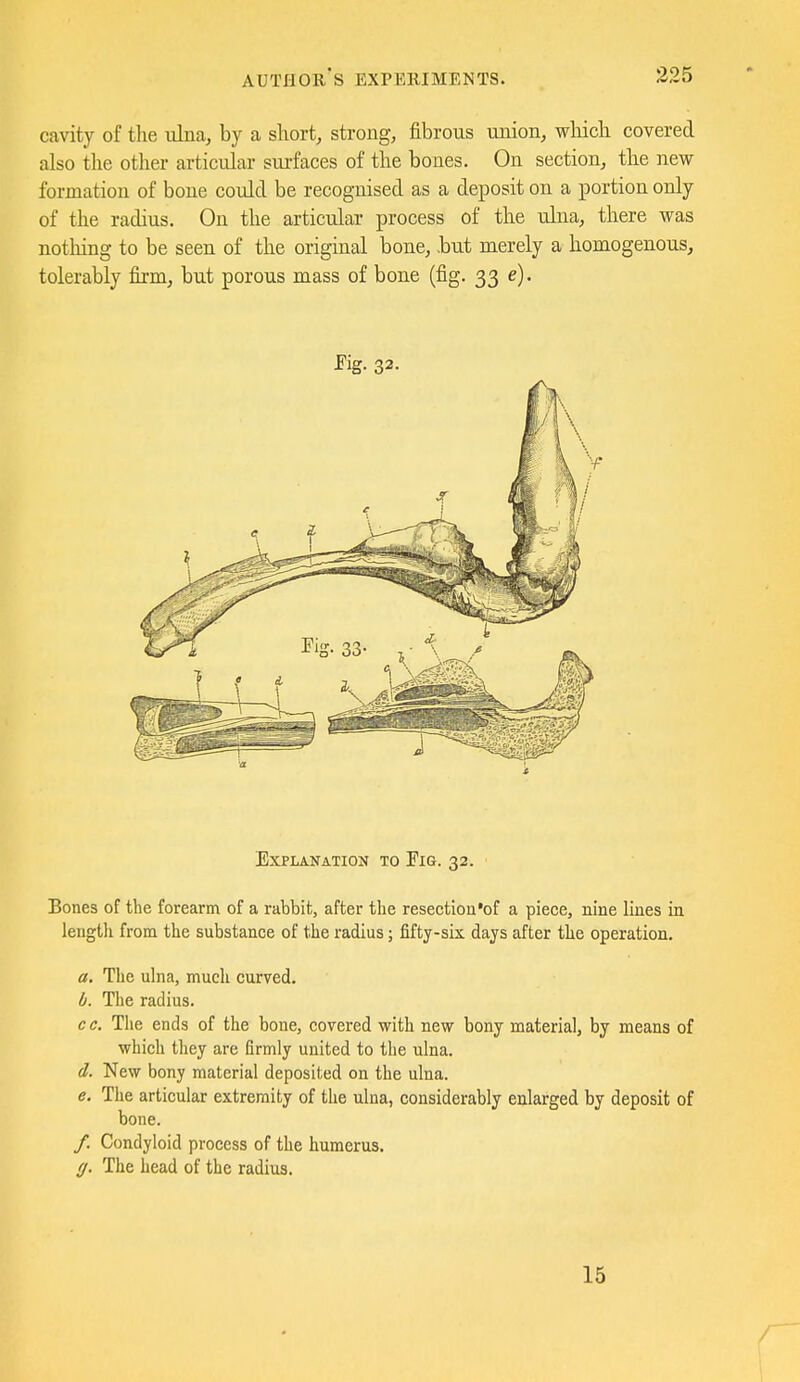 cavity of the iiliia, by a short, strong, fibrous union, which covered also the other articular surfaces of the bones. On section, the new formation of bone coiild be recognised as a deposit on a portion only of the radius. On the articular process of the ulna, there was notliing to be seen of the original bone, .but merely a homogenous, tolerably firm, but porous mass of bone (fig. 33 e). ■Fig- 32- Explanation to Fig. 32. Bones of the forearm of a rabbit, after the resection'of a piece, nine lines in lengtli from the substance of the radius; fifty-six. days after the operation. a. The ulna, much curved. b. The radius. c c. The ends of the bone, covered with new bony material, by means of which they are firmly united to the ulna. d. New bony material deposited on the ulna. e. The articular extremity of the ulna, considerably enlarged by deposit of bone. /. Condyloid process of the humerus. ff. The head of the radius. 15