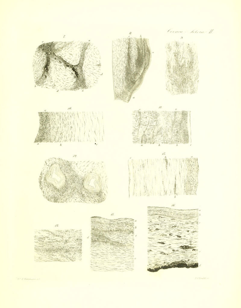 ■/) '• C mnfz,n,-,^i„ .1,1.