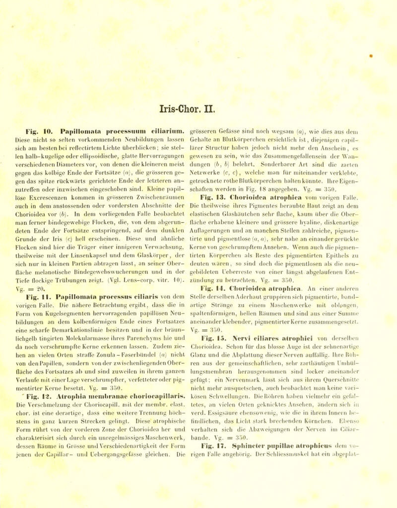 Fig. 10. Papilloniata processiiuni ciliaiiiiiii. Diese nicht so seilen vorkommenden Neubildungen lassen sich am besten bei reflectirtem Lichte überl)licken; sie stel- len halb-kugelige oder ellipsoidische, glatte Hervorragungen verschiedenen Diameters vor, von denen die kleineren meist gegen das kolbige Ende der Fortsätze (ff), die grösseren ge- gen das spitze rückwärts gerichtete Ende der letzteren an- zutreffen oder inzwischen eingeschoben sind. Kleine papil- löse Excrescenzen kommen in grösseren Zwischenräumen auch in dem anslossenden oder vordersten Abschnitte der Chorioidea vor (6). In dem vorliegenden Falle beobachtet man ferner bindegev^'ebige Flocken, die, von dem abgerun- deten Ende der Fortsätze entspringend, auf dem dunklen Grunde der b'is (c) hell erscheinen. Diese und ähnliche Flocken sind hier die Träger einer innigeren Verwachsung, theilweise mit der Linsenkapsel und dem Glaskörper, der sich nur in kleinen Partien abtragen lässt, an seiner Ober- fläche melanotische Bindegewebswucherungen und in der Tiefe flockige Trübungen zeigt. (VgL Lens-corp. vitr. 10). Vg. = 20. Fig. 11. Papilloniata prooessus ciliaris von dem vorigen Falle. Die nähere Betrachtung ergibt, dass die in Form von Kugelsegmenten hervorragenden papillösen Neu- bildungen an dem kolbenförmigen Ende eines Fortsatzes eine scharfe Demarkationslinie besitzen und in der bräun- lichgelb tingirten Molekularmasse ihres Parenchyms hie und da noch verschrumpfle Kerne erkennen lassen. Zudem zie- hen an vielen Orten strafle Zonula - Faserbündel (a) nicht von denPapillen, sondern von der zwischenliegendenOber- fläche des Fortsalzes ab und sind zuweilen in ihrem ganzen Verlaufe mit einer Lage versciirumpfler, verfetleteroder pig- mentirter Kerne besetzt. Vg. = 350. ' Fig. 12. Ati'opliia iiienihraiiae t-horiocapülaris. Die Verschmelzung der Clioriocapill. mit der membr. elast. chor. ist eine derartige, dass eine weitere Trennung höch- stens in ganz kurzen Strecken gelingt. Diese atrophische Form rührt von der vorderen Zone der Chorioidea her und charakterisirt sich durch ein unregelniässigcsMaschenwerk, dessen Räume in Grösse und Verschiedenartigkeit der Form jenen der Caj)illar- und Uebergangsgcfässe gleichen. Die grösseren Gefässe sind noch wegsam (a), wie dies aus dem Gehalte an Blutkörperchen ersichtlich ist, diejenigen capil- lärer Structur haben jedoch nicht mehr den .Anschein, es gewesen zu sein, wie das Zusanimengefallensein der Wan- dungen {b, b) belehrt. Sonderbarer Art sind die zarlen Netzwerke (c, c) , welche man für miteinander verklelite, getrocknete rothe Blutkörperchen halten könnte. Ihre Eigen- schaften werden in Fig. 18 angegeben. Vg. = 3130. Fig. 13. Chorioidea atrophica vom vorigen Falle. Die theilweise ihres Pigmentes beraubte Haut zeigt an dem elastischen Glashäutchen sehr flache, kaum über die Ober- fläche erhabene kleinere und grössere hyaline, diskenarlige Auflagerungen und an manchen Stellen zahlreiche, pigmen- tirle und pigmentlose (a, a), sehr nahe an einander gerückte Kerne von geschrumpftem Ansehen. Wenn auch diepigmen- lirten Körpercheii als Reste des pigmentirten Epithels zu deuten wären, so sind doch die pigmentlosen als die neu- geljildeten Ueberreste von einer längst abgelaufenen Ent- zündung zu belraOhlen. Vg. = 31)0. Fig. 14. Chorioidea atrophic-a. An einer anderen Stelle dersell)en Aderhaut gruppiren sich pigmentirte, banil- arlige Stränge zu einem Masehenwerke mit oblongen, spaltenförmigen, hellen Räumen und sind aus einer Summe aneinander klebender, pigmentirter Kerne zusammengesetzt. Vg. = 330. Fig. 15. Nervi ciliares atrophici von derselben Chorioidea. Schon für das blosse Auge ist der sehnenartige Glanz und die Abplattung dieser Nerven auffällig. Ihre Röh- ren aus der gemeinschaftlichen, sehr zarlhäutigen Umhül- lunsmembran heraussenommen sind locker aneinander gefügt; ein Nervenniark lässt sich aus ihrem Querschnitte nicht mehr ausquetschen, auch beobachtet man keine vari- kösen Schwellungen. DiePiöhren haben vielmehr ein gefal- tetes, an vielen Orlen geknicktes Ansehen, ändern sich in verd. Essigsäure ebensowenig, wie die in ihrem Innern be- findlichen, das Licht stark brechenden Körnchen. Ebenso verhalten sich die yVbzweigungen der Nerven im Giliar- bande. Vg. = 350. Fig. 11. Spliincter ptipillac atrophiciis dem vo- rigen Falle angehörig. Der Schliessrnuskel hat ein abgephil-