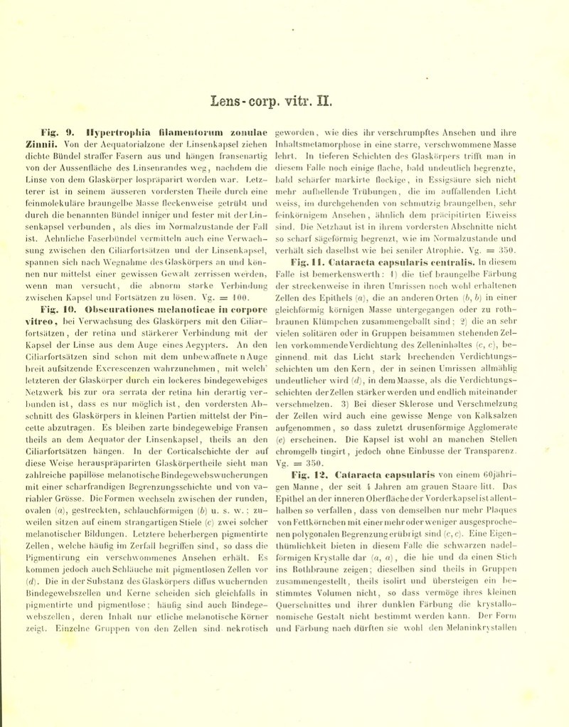 Fig. 9. Ilypertropiila (ilanu'ietoa-iim zoiiiilae Ziiiiiii. Von der Aequatorialzone der Linsenkapsel ziehen dichte Bündel straffer Fasern aus und hangen fransenartig von der Aussenflache des Linsenrandes weg, nachdem die Linse von dem Glaskörper lospnipaiirl worden war. Letz- terer ist in seinem äusseren vordersten Theile durch eine feinmolekuläre braungelbe Masse fleckenweise getrübt und durch die benannten Bündel inniger und fester mit der Lin- senkapsel verbunden , als dies im Normalzustande der Fall ist. Aehnliche Faserbündel vermitteln auch eine Verwach- sung zwischen den Ciliarfortsätzen und der Linsenkapsel, spannen sich nach Wegnahme des Glaskörpers an und kön- nen nur mittelst einer gewissen Gewalt zerrissen werden, wenn man versucht, die abnorm starke Verbindung zwischen Kapsei und Fortsätzen zu lösen. Vg. = 100. ¥\'^. 10. Ol)8eiiratioiie8 mielaiioticac in corpore vitreo, bei Verwachsung de.s Glaskörpers mit den Ciliar- fortsätzen , der retina und stärkerer Verbindung mit der Kapsel der Linse aus dem Auge eines Aegypters. An den Ciliarfortsätzen sind schon mit dem unbewaffnete nAuge breit aufsitzende Excrescenzen wahrzunehmen, mit welch' letzteren der Glaskörper durch ein lockeres bindegewebiges Netzwerk bis zur ora serrata der retina hin derartig ver- bunden ist, dass es nur möglich ist, den vordersten Ab- schnitt des Glaskörpers in kleinen Partien mittelst der Pin- cette abzutragen. Es bleiben zarte bindegewebige Fransen theils an dem Aequalor der Linsenkapsel, theils an den Ciliarfortsätzen hängen. In der Corticalschichte der auf diese Weise herauspräparirten Glaskörpertheile sieht man zahlreiche papillöse melanotischeBindegewebswucherungen mit einer scharfrandigen Begrenzungsschichte und von va- riabler Grösse. Die Formen wechseln zwischen der runden, ovalen (a), gestreckten, schlauchförmigen (b) u. s. w. ; zu- weilen sitzen auf einem strangartigen Stiele (c) zwei solcher raelanotischer Bildungen. Letztere beherbergen pigmentirte Zellen, welche häufig im Zerfall begriffen sind, so dass die Pigmentirung ein verschwonmienes Ansehen erhält. Fls kommen jedoch auch Schläuche mit pigmentiosen Zellen vor (d). Die in der Substanz des Glaskörpers diffus w uchernden Bindegewebszellen und Kerne scheiden sich gleichfalls in pigmentirte und pigmentlose; häufig sind auch Bindege- webszellen , deren Inhalt nur etliche melanotische Körner zeigt. Einzelne Gruppen von den Zellen sind nekrotisch gewoi den, wie dies ihr verschrumpftes Ansehen und ihre Inhaltsmetamorphose in eine starre, verschwommene Masse Jehrt. In tieferen Schichten des Glaskörpers trifft man in diesem Falle noch einige flache, bald undeutlich begrenzte, bald schäi'fer markirle flockige, in Essigsäure sich nicht mehr aufhellende Trübungen, die im auffallenden Licht weiss, im durchgehenden von schmutzig braungelbcn, sehr feinkörnigem Ansehen , ähnlich dem präcipitirten Eiweiss sind. Die Netzhaut ist in ihrem vordersten Abschnitte nicht so scharf sägeförmig begrenzt, wie im Normalzuslande und verhält sich daselbst wie bei seniler Atrophie. Vg. = 350. Fig. 11. Cataracta capsularis centralis. In diesem Falle ist bemerkenswerth : I) die tief braungelbe Färbung der streckenweise in ihren Umrissen noch wohl erhaltenen Zellen des Epithels (a), die an anderen Orten (b, b) in einer gleichförmig körnigen Masse untergegangen oder zu roth- braunen Klümpchen zusammengeballt sind; 2) die an sehr vielen solitären oder in Gruppen beisammen stehenden Zel- len vorkommendeVerdichtung des Zelleninhaltes (c, c), be- ginnend, mit das Licht stark brechenden Verdichtungs- schichten um den Kern, der in seinen Umrissen allmählig undeutlicher wird {(1), in deraMaasse, als die Verdichtungs- schichlen derZellen stärker werden und endlich miteinander verschmelzen. 3) Bei dieser Sklerose und Verschmelzung der Zellen wird auch eine gewisse Menge von Kalksalzen aufgenommen , so dass zuletzt drusenförmige Agglomerate (e) erscheinen. Die Kapsel ist wohl an manchen Stellen Chromgelb tingirt, jedoch ohne Einbusse der Transparenz, Vg. = 350. Fig. VI, Cataracta capsularis von einem 60jähri- gen Manne , der seit 4 Jahren am grauen Staare litt. Das Epithel an der inneren Oberfläche der Vorderkapsel ist allent- halben so verfallen, dass von demselben nur mehr Plaques von Fettkörnchen mit einermehroder weniger ausgesproche- nen polygonalen Begrenzung erübrigt sind (c,c). Eine Eigen- thümlichkeit bieten in diesem Falle die schwarzen nadei- förmigen Kryslalle dar (o, a), die hie und da einen Stich ins Rothbraune zeigen; dieselben sind theils in Gruppen zusammengestellt, theils isolirt und Ubersteigen ein be- stimmtes Volumen nicht, so dass vermöge ihres kleinen Querschnittes und ihrer dunklen Färbung die krystallo- nomische Gestalt nicht bestimmt werden kann. Der Form und Färbung nach dürften sie wohl den Melaninkrystallen