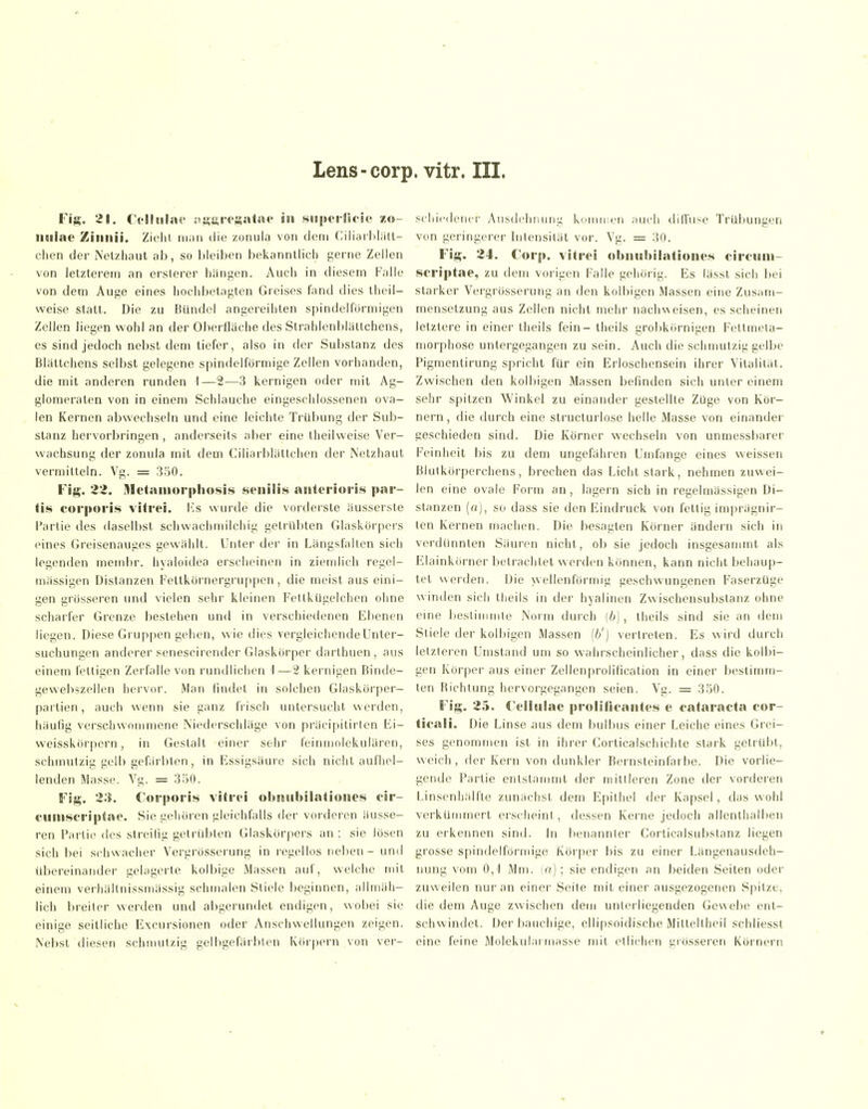 Fig. 21. CelhilsH' ;ti?Jii'<'«at5J<' swperfsfic /o- lliiiae Ziiiiiii. Zielil iikui tlie zoniila von dctii CiliaiMiill- chen der Netzhaut ab, so bleiben bekanntlicli gerne Zellen von letzterem an erslerer hängen. Auch in diesem Falle von dem Auge eines hochbetagten Greises fand dies theil- weise statt. Die zu Bündel angereihten spindelförmigen Zellen liegen wohl an der Oberfläche des Strahlenblätlchens, es sind jedoch nebst dem tiefer, also in der Substanz des Blättchens selbst gelegene spindelförmige Zellen vorhanden, die mit anderen runden 1—2—3 kernigen oder mit Ag- glomeraten von in einem Schlauche eingeschlossenen ova- len Kernen abwechseln und eine leichte Trübung der Sub- stanz hervorbringen, anderseits aber eine theilweise Ver- wachsung der zonula mit dem Ciliarblättchen der Netzhaut vermitteln. Vg. = 350. Fig. 22. Uletaiiiorjihosis senilis anfoi ioris par- tis corporis vitrei. i-s wurde die vortleiste äusserste Partie des daselbst schwachmilchig getrübten Glaskörpers eines Greisenauges gewählt. Unter der in Längsfalten sich legenden membr. hyaloidea erscheinen in ziemlich regel- mässigen Distanzen Fettkörnergruppen, die meist aus eini- gen grösseren und vielen sehr kleinen F'eltkügelclien ohne scharfer Grenze bestehen und in verschiedenen Kbenen liegen. Diese Grup|)en gehen, wie dies vergleichende Unter- suchungen anderer senescirender Glaskörper darthuen, aus einem fettigen Zerfalle von rundlichen 1—S kernigen Binde- gewebszellen hervor. Man findet in solchen Glaskörper- partien, auch wenn sie ganz frisch untersucht werden, häufig verschwonmiene Niederschläge von präcipilirten Fi- weisskörpern, in Gestalt einer sehr leinmoickulären, schmutzig gelb gefärbten, in Essigsäui'e sich nicht aufhel- lenden Masse. Yg. = 3ö0. Fig. 23. Corporis vitrei oUiuibilatioiies oir- cimiscriptao. Sie gehören gleichfalls der vorderen äusse- ren Partie des streifig getrübten Glaskörpers an; sie lösen sich bei schwacher Vergrösserung in regellos neben - und übereinander gelagerte koibige Massen auf, welche mit einem verhältnissmässig schmalen Stiele beginnen, allmäh- lich breiter werden und abgerundet endigen, wobei sie einige seilliche Excursionen oder Anschwellungen zeigen. Nelisl diesen schmutzig gelbgefärblen Körpern von ver- schiedener Ausdehnung kommen auch diffuse Trübungen von geringerer Intensität vor. Vg. = 30. Fig. 24. Corp. vitroi obiui!>iIatioiies circuin- scriptae, zu dem vorigen Falle gehörig. Es lässt sich bei starker Vergrösserung an den kolbigen Massen eine Zusam- mensetzung aus Zellen nicht mehr nachv^eisen, es scheinen letztere in einer theils fein- theils grobkörnigen Fettmela- morphose untergegangen zu sein. Auch die schmutzig gelbe Pigmentirung spricht für ein Erloschensein ihrer Vitalität. Zwischen den kolbigen Massen befinden sich unter einem sehr spitzen Winkel zu einander gestellte Zuge von Kör- nern, die durch eine structurlose helle Masse von einander geschieden sind. Die liörner wechseln von unmessbarer Feinheit bis zu dem ungefähren Umfange eines weissen Blutkörperchens, brechen das Licht stark, nehmen zuwei- len eine ovale Form an , lagern sich in regelmässigen Di- stanzen (o), so dass sie den Eindruck von fettig imprägnir- len Kernen machen. Die besagten Körner ändern sich in verdünnten Säuren nicht, ob sie jedoch insgesammt als Elainkörner betrachtet werden können, kann nicht behaup- tet werden. Die wellenförmig geschwungenen Faserzüge winden sich theils in der hyalinen Zwischensubstanz ohne eine Ijesliiiimte Norm durch (6), theils sind sie an dem Stiele der kolbigen Massen [b') vertreten. Es wird durch letzteren Umstand um so wahrscheinlicher, dass die kolbi- gen Körper aus einer Zellenprolification in einer bestimm- ten Hichtung hervorgegangen seien. Vg. = 350. Fig. 25. Celliilae prolilicaiites e Cataracta cor- ticali. Die Linse aus dem bulbus einer Leiche eines Glei- ses genommen ist in ihrer Corticalschichte stark getrübt, weich, der Kern von dunkler Bernsteinfarbe. Die vorlie- gende Partie entstammt der mittleren Zone der vorderen Linsenhälfte zunächst dem Epithel der Kapsel, das wohl verkümmert erscheint, dessen Kerne jedoch allenthalben zu ei'kennen sind. In benannter Corlicalsubstanz liegen grosse spindelförmige Köi'per bis zu einer Längenausdeh- nung vom 0,1 Mm. (a); sie endigen an beiden Seiten oder zuweilen nur an einer Seite mit einer ausgezogenen Spitze, die dem Auge zwischen dem unterliegenden Gewebe ent- schwindet. Der bauchige, ellipsoidische Mitteltheil schliesst eine feine Molekularmasse mit etlichen grösseren Körnern