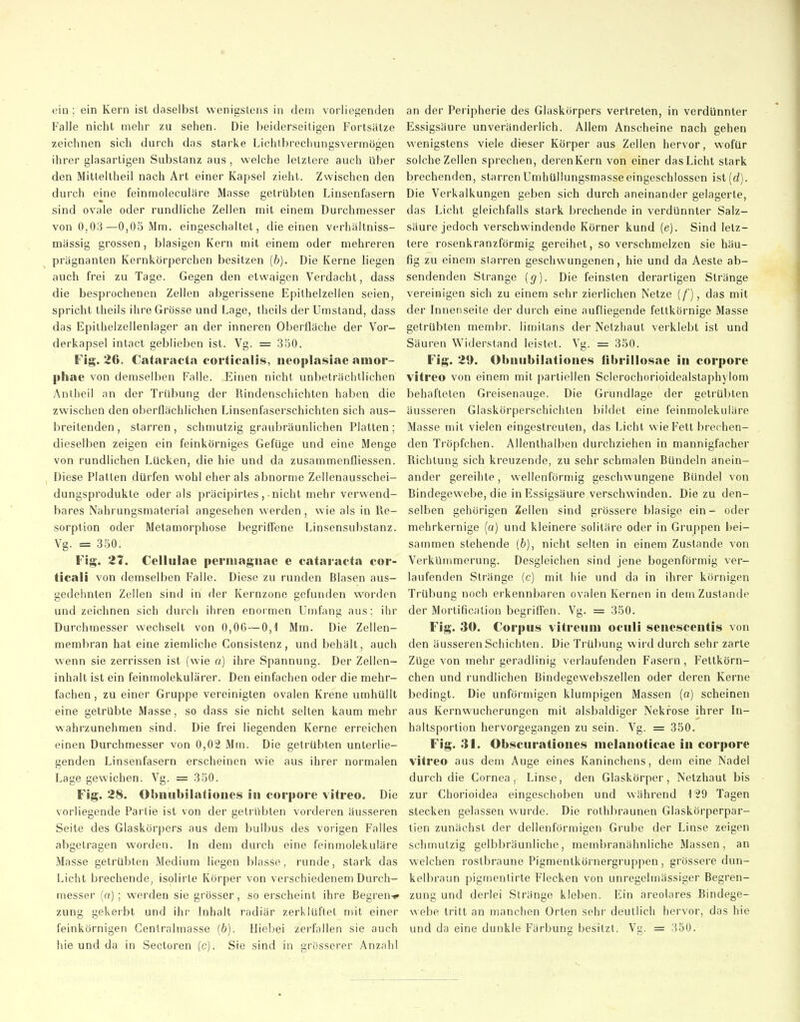 ein ; ein Kern ist daselbst wenigstens in dem vorliegenden Falle nicht mehr zu sehen. Die beiderseitigen Fortsätze zeichnen sich durch das starke Lichtbrechungsvermögen ihrer glasartigen Substanz aus , welche letztere auch Uber den Mitteltheil nach Art einer Kapsel zieht. Zwischen den durch eine feinmoleculäre Masse getrübten Linsenfasern sind ovale oder rundliche Zellen mit einem Durchmesser von 0,03—0,05 Mm. eingeschaltet, die einen verhältniss- mässig grossen, blasigen Kern mit einem oder mehreren prägnanten Kernkörperchen besitzen {b). Die Kerne liegen auch frei zu Tage. Gegen den etwaigen Verdacht, dass die besprochenen Zellen abgerissene Epithelzellen seien, spricht theils ihre Grösse und Lage, theils der Umstand, dass das Epilhelzellenlager an der inneren Oberfläche der Vor- derkapsel intact geblieben ist. Vg. = .350. Fig. 26. Cataracta forticalis, iieoplasiae anior- phae von demselben Falle. Einen nicht unbeträchtlichen Anllieil an der Trübung der Rindenschichten haben die zwischen den oberflächlichen Linsenfaserschichten sich aus- breitenden, starren, schmutzig graubräunlichen Platten; dieselben zeigen ein feinkörniges Gefüge und eine Menge von rundlichen Lücken, die hie und da zusammenfliessen. Diese Platten dürfen wohl eher als abnorme Zellenausschei- dungsprodukte oder als präcipirtes , nicht mehr verwend- bares Nahrungsmaterial angesehen werden , wie als in Re- sorption oder Metamorphose begriffene Linsensubstanz. Vg. = 350. Fig. 21. Cellulae periiiagitae e Cataracta cor- ticali von demselben Falle. Diese zu runden Blasen aus- gedehnten Zellen sind in der Kernzone gefunden worden und zeichnen sich durch ihren enormen Umfang aus; ihr Durchmesser wechselt von 0,06 — 0,1 Mm. Die Zellen- membran hat eine ziemliche Consistenz, und behält, auch wenn sie zerrissen ist (wie a) ihre Spannung. Der Zellen- inhalt ist ein feinmolekulärer. Den einfachen oder die mehr- fachen , zu einer Gruppe vereinigten ovalen Krene umhüllt eine getrübte Masse, so dass sie nicht selten kaum mehr wahrzunehmen sind. Die frei liegenden Kerne erreichen einen Durchmesser von 0,02 Mm. Die getrübten unterlie- genden Linsenfasern erscheinen wie aus ihrer normalen Lage gewichen. Vg. = 350. Fig. 28. Obiiubilatioiies in corpore vitreo. Die vorliegende Partie ist von der getrübten vorderen äusseren Seite des Glaskörpers aus dem bulbus des vorigen Falles abgetragen worden. In dem durch eine feinmolekuläre Masse getrübten Medium liegen blasse, runde, stark das Licht brechende, isolirle Körper von verschiedenem Durch- messer [a) ; werden sie grösser, so erscheint ihre Begren-^ zung gekerbt und ihr Inhalt radiär zerklüftet mit einer feinkörnigen Gentraimasse (6). Hieljei zerfallen sie auch hie und da in Sectoren (c). Sie sind in grösserer Anzahl an der Peripherie des Glaskörpers vertreten, in verdünnter Essigsäure unveränderlich. Allem Anscheine nach gehen wenigstens viele dieser Körper aus Zellen hervor, wofür solche Zellen sprechen, derenKern von einer das Licht stark brechenden, starren Umhüllungsmasse eingeschlossen ist(d). Die Verkalkungen geben sich durch aneinander gelagerte, das Licht gleichfalls stark brechende in verdünnter Salz- säure jedoch verschwindende Körner kund (e). Sind letz- tere rosenkranzförmig gereihet, so verschmelzen sie häu- fig zu einem starren geschwungenen, hie und da Aesle ab- sendenden Strange {g). Die feinsten derartigen Stränge vereinigen sich zu einem sehr zierlichen Netze [f), das mit der Innenseite der durch eine aufliegende feltkörnige Masse getrübten membr. limitans der Netzhaut verklebt ist und Säuren Widerstand leistet. Vg. = 350. Fig. 29. Obniibilationes fibrillosae in corpore vitreo von einem mit partiellen Scierochorioidealstaphylom behafteten Greisenauge. Die Grundlage der getrübten äusseren Glaskörperschichlen bildet eine feinmolekuläre Masse mit vielen eingestreuten, das Licht wie Fett brechen- den Tröpfchen. Allenthalben durchziehen in mannigfacher Richtung sich kreuzende, zu sehr schmalen Bündeln anein- ander gereihte, wellenförmig geschwungene Bündel von Rindegewebe, die in Essigsäure verschwinden. Die zu den- selben gehörigen Zellen sind grössere blasige ein- oder mehrkernige (a) und kleinere solitäre oder in Gruppen bei- sammen stehende {b), nicht selten in einem Zustande von Verkümmerung. Desgleichen sind jene bogenförmig ver- laufenden Stränge (c) mit hie und da in ihrer körnigen Trübung noch erkennbaren ovalen Kernen in dem Zustande der Mortification begrifl'en. Vg. = 350. Fig. 30. Corpus vitreuni oculi senescentis von den äusseren Schichten. Die Trübung wird durch sehr zarte Züge von mehr geradlinig verlaufenden Fasern, Fettkörn- chen und rundlichen Bindegewebszellen oder deren Kerne bedingt. Die unförmigen klumpigen Massen (a) scheinen aus Kernwucherungen mit alsbaldiger Nekrose ihrer In- haltsportion hervorgegangen zu sein. Vg. = 350. Fig. 31. Obscurationes nielanoticae in corpore vitreo aus dem Auge eines Kaninchens, dem eine Nadel durch die Cornea, Linse, den Glaskörper, Netzhaut bis zur Chorioidea eingeschoben und während ■l'SO Tagen stecken gelassen wurde. Die rothbraunen Glaskörperpar- tien zunächst der dellenförmigen Grube der Linse zeigen schmutzig gelbbräunliche, membranähnliche Massen, an welchen rostbraune Pigmentkörnergruppen, grössere dun- kelbraun pigmenlirte Flecken von unregelmässiger Begren- zung und derlei Stränge kleben. Ein areolares Bindege- webe tritt an manchen Orten sehr deutlich hervor, das hie und da eine dunkle Färbung besitzt. Vg. = 350.