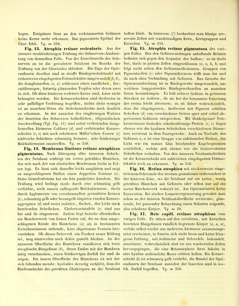 liegen. Essigsäure lässt an den verkümmerten Gefässen keine Kerne mehr erkennen. Das pigmenlirle Epithel der Chor, fehlt. Vg. = 350. Flg. 13. Atrophia retinae reticularis. Aus der intensiv strahlenförmigen Trübung der Sehnerven-Ausbrei- tung von demselben Falle. Von der Eintrittssleile des Seh- nerven an ist die gevvulslete Netzhaut im Bezirke der Trübung von der Chorioidea ablösbar. Die Züge der Opti- cusfasern daselbst sind in straffe Bindegewebsbündel mit reihenweise eingelagerten Fettmolekülen umgewandelt [b, b), die Ganglienzellen {a, a] schliessen einen rundlichen, bis- cuitförmigen, fettartig glänzenden Tropfen oder deren zwei in sich. Ob diese letzteren verfettete Kerne sind, kann nicht behauptet werden. Die Körnerschichten sind theilweise in sehr auffälliger Verfettung begriffen, nichts desto weniger ist an manchen Orten die Stäbchenschichte noch deutlich zu erkennen. In der zunächst des ringförmigen Wulstes der Insertion des Sehnerven befindlichen, ellipsoidischen Anschwellung (Vgl. Fig. 11) sind nebst verfettenden Gang- lienzellen kleineren Calibers (c/) und verfettender Körner- schichte (c, c) mit noch erhaltenen MUller'schen Fasern (e) zahlreiche Schichten schmutzig brauner, sehr feinkörniger Molekularmasse anzutreffen. Vg. = 350. Flg. 14. Membrana liniitans retinae atrophicae pigmentatae. Nach Abtragung aller äusseren Schich- ten der Netzhaut erübrigt ein zartes getrübtes Häutchen, das sich nach Art von elastischen Membranen leicht in Fal- ten legt. Es lässt sich dasselbe leicht ausglätlen und zeigt an umgeschlagenen Stellen einen doppelten Contour (o). Seine Grundsubstanz hat ein fein punktirtes Ansehen. Die Trübung wird bedingt theils durch eine schmutzig gelb verfärbte, nach aussen aufliegende Molekularmasse, theils durch Agglomerate von verschrumpften granulirten Kernen (c), schmutzig gelb oder braungelb tingirlen runden Körner- aggregaten (d) und meist isolirten , flachen, das Licht stark brechenden Scheibchen. Cholestearinlafeln (e) sind nur hie und da eingestreut. Zudem liegt beinahe allenthalben ein Maschenwerk von feinen Fäden auf, die an dem umge- schlagenen Rande des Häutchens (a) als in bestimmten Zwischenräumen stehende, kurz abgerissene Fransen her- vorstehen. Ob dieses Netzwerk ein Product neuer Bildung sei, mag einstw'eilen noch dahin gestellt bleiben. An der äusseren Oberfläche des Iläutchens ramificiren sich leere atrophische Blutgefässe (6), deren Enden mit der Membran innig verschmolzen, einen feinfaserigen Zerfall hie und da zeigen. Die innere Oberfläche des Häutchens ist mit der sich faltenden membr. hyaioidea derartig verklebt, dass die Rindenschichte des getrübten Glaskörpers an der Nelzhaut haften blieb. In letzterem (f) beobachtet man blasige zer- streute Zellen mit wandständigem Kern, Kerngruppen und Körnchen. Vg. = 350. Fig. 15. Atrophia retinae pigmentosa des vori- gen Falles. Das den Gefässwandungen anhaftende Melanin befindet sich gegen den Aequator des bulbus; es ist theils frei, theils in platten Zellen eingeschlossen (a, a, b, b) und folgt nicht seilen den Gefässramificationen. Gruppen von Pigmentzellen (c) oder Pigmenlkörnern trifft man hie und da auch ohne Verbindung mit Gefässen. Das Gewebe dei- Opticusausbreitung ist in Bindegewebe umgewandelt, aus welchem langgestreckte Bindegewebszellen an manchen Orlen heraushängen. Es hält schwer Gefässe in grösseren Strecken zu isoliren, da sie bei der benannten Entartung der relina leicht abreissen; es ist daher wahrscheinlich, dass die eingelagerlen, theilweise mit Pigment erfüllten Scheiben Id) von verschiedener Grösse quer und schief ab- gerissenen Gefässen entsprechen. Mit dunkelgrauer Fett- körnerniasse bedeckte scheibenförmige Platten (e, e) liegen ebenso wie die hyalinen Scheibchen verschiedenen Diame- ters zerstreut in dem Fasereewebe. Auch im Verlaufe des Gefässes a, a ist eine Gruppe von aufsitzenden flachen, das Licht wie ein mattes Glas brechenden Kugelsegmenten ersichtlich, welche sich ebenso wie die letzterwähnten Scheibchen verhallen. Von den äusseren Netzhautschichten ist die Körnerschicht mit zahlreichen eingelagerten Fettmo- lekulen noch zu erkennen. Vg. = 350. Fig. 16. Retina atrophica mit steckenweise einge- tretenem Schv^unde des Stratum granulosum insbesondere in der hinteren Zone, wo die Nelzhaut auf ein zartes, wenig getrübtes Häutchen mit Gefässen oder selbst nur auf ein zartes Maschenwerk reducirt ist. Am Opticuseintritt keine Excavation. Bei starker Loupenvergrösserung gewahrt man schon an der inneren Netzhautoberfläche zerstreute, glän- zende, bei passender Beleuchtung einen Schatten zeigende, also erhabene Körper. Vg. = 30. Fig. II. Rete capill. retinae atrophicae vom vorigen Falle. Es sitzen auf den verödeten, mit Körnchen besetzten Blutgefässen rundlich begrenzte Körper (o, a, a), welche selbst wieder aus mehreren kleineren zusammenge- setzt erscheinen, in Säuren sich nicht lösen und keine blau- graue Färbung, mit Jodtinctur und Schwefels, behandeil. annehmen ; wahrscheinlich sind sie aus wuchernden Zellen hervorgegangen, die eine Metamorphose ihres Inhalts in eine hyaline unförmliche Masse erlitten haben. Die Körner- schicht [b) ist schmutzig gelb verfärbt, die Bündel der Opti- cusfasern der Nelzhaut zunächst der Insertion sind in mo- lek. Zerfall begriff'en. Vg. = 350.