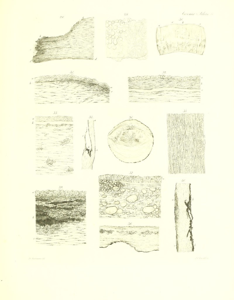 //,■ llnl,m„„„ ,M ./CJ.O..M.,.