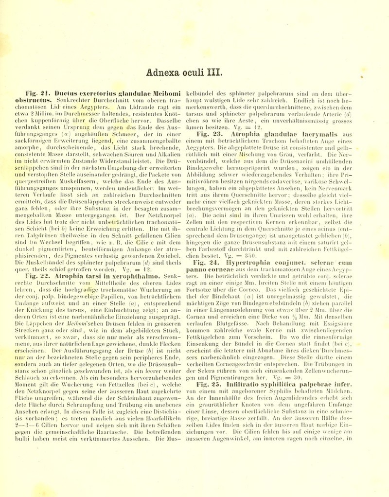 Fig. 21. Ductus excretorius Glandulae .lloibouii ohstructus. Senkrechter Durclischnilt vom oljeren tra- clionialüsen Lid eines Aegyplers. Am Lidrande ragt ein etwa 2Milliin.ini Dnrchinesser haltendes, resistentes Knöt- chen ktippenrorinig vU^cr die Oberfläche hervor. Dasselbe verdankt seinen Ursprung (h'ui gegen das linde des Aus- fühi-iingsganges (o) aiigcijänRen Schmeer, der in einer sacklorn)igen Krweiterung liegend, eine zusammengeballte amorphe, durchscheinende, das Licht stark brechende, consistente Masse darstellt, schwachen S;iuien und Alkalien im nicht erwärmten Zustande Widerstand leistet. Die Dru- senläppchen sind in der nächsten Umgebung der erweiterten und verstopften Stelle auseinander gedi'äiigt, die Packete von (|uer_zestreil'len Muskelfasern, welche das Ende des Aus- führungsganges umspinnen, werden undeutlicher. Im wei- teren Verlaufe lässt sich an zahlreichen Durchschnitten ermitteln, dass die Drüsenläppchen strecken\\ eise entweder ganz fehlen, oder ihre Substanz in der l)esaglen zusam- mengeltallten Masse untergegangen ist. Der Netzknorpel des Lides hat trotz der nicht unbeli-ächtlichen trachomalö- sen Schicht (liei b) keine Erweichung erlitten. Die mit ih- ren Talgdrüsen theilweise in den Schnitt gefallenen Cilien sind im Wechsel r)egrifren , wie z. B. die Cilie c mit dem dunkel pigmentirteii , Ijeutelformigen y\nhange dei- atro- phisirenden , des Pigmentes verlustig gewordenen Zwiebel. Die Muskelbündel des sphincler palpebrarum {d) sind iheils quer, theils schief geli'oden worden. Vg. = \ 2. ¥i'^. 22. Atrophia tarsi in xce-oplitlialmio. Senk- rechte Durclischnitle vom Mitlellheile des (ilieren Lides lehi'en, ilass die hochgradige trachomatöse Wucherung an der conj. palp. bindegewebige Papillen, von beträchtlichem Umfange aufweist und an einer Stelle (o) , entsprechend der Knickung des larsus, eine Einl)uchtung zeigt; an an- deren Orten ist eine narbenähnliche Einziehung ausgeprägt. Die Läppchen der yl/e/6om'schen Drüsen fehlen in grösseren Strecken ganz oder sind , wie in dem abgebildeten Stück, verkümmert, so zwar, dass sie nui' mehi- als verschwom- mene, aus ihrer natiü'lichen Lage gewichene, dunkle f^lecken erscheinen. Der Ausführungsgang der Drüse (6) ist nicht nur an der bezeichneten Stelle gegen sein peripheres Ende, sondern auch an tiefer gelegenen Orten, wo die Drüsensub- slanz schon gänzlich geschwunden ist, als ein leerer weiter Schlaucli zu erkennen. Alsein besonders hervorzuhebendes Moment gilt die Wucherung von Fetizellen (bei c) , welche den iXetzknorpel gegen seine der äusseren Haut zugekehrte I^^läche umgieifen, während die der Schleindiaut zugewen- dete Fläche durch Schrumpfung und Ti'übung ein unebenes Ansehen erlangt. In diesem Falle ist zugleich eine Dislichia- sis vorhanden ; es treten nämlich aus vielen Haarfollikeln 2—)5 — 6 Cilien liervor und neigen sich mit ihren Schäften gegen die gemeinschaftliche Ilaarlasche. Die betreffenden bulbi haben meist ein verkünunertes Aussehen. Die Mus- kelbündel des sphincter palpelu-arum sind an dem über- haupt wulstigen Lide sehr zahlieich. Endlich ist noch be- merkenswerth, dass die cjuerdurchschnittene, zwischen dem tarsus und sphincter palpebi'arum verlaufende Arterie (d) eben so wie ihre Aeste , ein unverhältnissmässig grosses lumen l)esitzen. Vg. = L2. Fig. 23. Ati'ophia glag9«lu9a(> lacryttialis aus einem mit beträchtlichem Ti'acliom behafleten y\uge eines Aegyplers. Die a!)geplattete Drüse ist consistenter und gelb- röthlich mit einer Mischung von Gi'au, verfärbt. Die Ner- venbündel, welche aus dem die Drüsenacini umhüllenden Bindegewebe herauspräparirl wurden , zeigen ein in der Abbildung schwer wiedei'zugebendes Verhalten; ihre Pri- mitiviÖhren besitzen nirgends cadaveröse, var iköse Schwel- lungen, haben ein abgeplattetes Ansehen, kein Nervenmark tritt aus ihrem Quei'schnitlc hervor; d.isselbe gleicht viel- mehr einer vielfach geknickten Masse, deren starkes Licht- brechungsvermögen an tien geknickten Stellen hervortritt (ft). Die acini sind in ihren Unuissen wohl eihalten, ihre Zellen mit den respecliven Kernen erkennbar, selbst die centrale Lichtung in dem Quer'schnitte je eines acinus (ent- sprechend dem Drüsengange) ist unangetastet gebliel)en (6), hingegen die ganze Drüsensubstanz mit einem salurirt gel- ben Farbesloff durchtränkt und mit zahlreichen Feltküi^el- chen besäet. Vg. - 3ö0. Fig. 24. ESypor*ro|»!iia eonjuisct. scJerac cum paiiiio oorueae aus dem trachomaiösenAuge einesAegyp- ters. Die beträchtlich verdickte und getrübte conj. sclei'ae ragt an einer einige Mm. breiten Stelle mit einem häutigen Fortsatze üfjer die Cornea. Das vielfach geschichtete f]pi- thel der Bindehaut (a) ist unregeinjässig gewulstet, tlie mächtigen Züge von Bindegewebslnindeln (b) ziehen paiallel in einer Längenausdehnung von etwas über 2 Mm. über ilie Cornea und erreichen eine Dicke von % Mm. Mit denselben vollaufen Blutgefässe. Nach Behandlung mit Essigsäure kommen zahlreiche ovale Kerne mit zwischenliegenden Fettkügelchen zum Vorschein. Da wo die rinnenlörmige iilinsenkung der Bündel in die Cornea statt findet (bei c), erscheint die letztere mitAl)nahme ihres dicken Durchmes- sers narbenähnlich eingezogen. Diese Stelle dürfte einem verheilten Corneageschwür entsprechen. Die Trübungen in der Sclera rühren von sich einsenkenden Zellenwucherun- gen und Pigmentirungen her. Vg. = 30. Fig. 25. BuHItratio sypSiilitica palpehi-at* iiefer. von einem mit angeborener S\philis Itehaftelen Mä{|chcn. An der Innenhäll'te des freien Augcnlidrandes erhebt sich ein graurölhlicher Knoten von dem ungefähren Umfange einer Linse, dessen ol)erflächliche Substanz in eine schmie- rige, breiartige Masse zerfalll. An der iüisseren Hälfte des- solI)en Lides finden sich in der iursseicn Haut nai-bige Ein- ziehungen vor. Die Cilien fehlen bis auf einige wenige am äusseren Augensvinkel, am inneren ragen noch einzelne, in