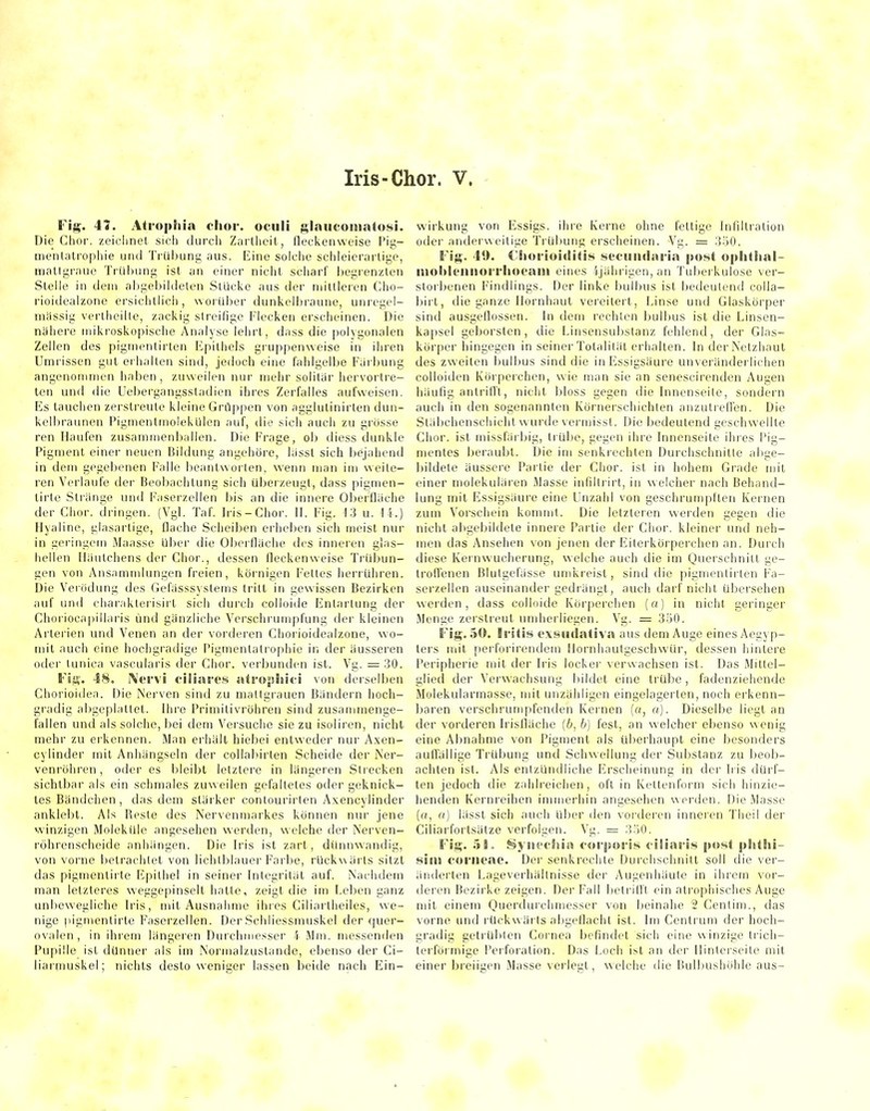 Iris-Chor. V. Fig. 41. Atrophin chor. ociili glnuconintosi. Die Chor, zeiclmel sieh durch Zartheit, flecken weise Pig- mentatrophie und TrUi)ung aus. Eine solciie schieierarlige, mallgraue Trübung ist an einer nicht scharf l^egrenzlen Steile in dem al)gel)ihleten Stücke aus der mittleren Cho- rioidealzone ersiclitiicii, \\orid>er dunkelbraune, unregel- mässig verlhcilte, zackig streifige Flecken erscheinen. Die nähere mikroskopische Analyse lehrt, dass die polygonalen Zellen des pigmentirten Epithels gi-uppen\veise in ihren Umrissen gut er halten sintl, jedoch eine fahlgelbe Färbung angenommen haben, zuweilen nur mehr solitar hervortre- ten und die Uebergangssladien ihres Zerfalles aufweisen. Es tauchen zerstreute kleine Gröp|)en von agglutinirten dun- kelbraunen Pigmenlmolekülen auf, die sich aucii zu grosse ren Haufen zusainmenliallen. Die Frage, ob diess dunkle Pigment einer neuen Bildung angehöre, lassl sich bejahend in dem gegebenen Falle beantworten, wenn man im weite- ren Verlaufe der Beobachtung sich überzeugt, dass pigmen- lirte Stränge und Faserzellen bis an die innere Oberfläche der Chor, dringen. (Vgl. Taf. b-is-Chor. II. Fig. 13 u. 14.) Hyaline, glasartige, flache Scheiben erheben sich meist nur in gei-ingcm iMaasse ül)er die Oberfläche des inneren g!as- hellen Iläutchens der Chor., dessen flecken weise Trübun- gen von Ansammlungen freien, körnigen Fettes herrühren. Die Verödung des Gefässsyslems tritt in gewissen Bezirken auf und charakterisirt sich durch colloide Entartung der Choriocapillaris und gänzliche Verschrumpfung der kleinen Arterien und Venen an der vorderen Chorioidealzone, wo- mit auch eine hochgradige Pigmentatrophie in der äusseren oder tunica vascularis der Chor, verbunden ist. Vg. = 30. Vlii;. 48. Nervi filiafe.*? atrophici von derselben Chorioidea. Die Nei-ven sind zu maltgiauen Bändern hoch- gradig abgeplattet. Ihre Primitivröhren sind zusammenge- fallen und als solche, bei dem Versuche sie zu isoliren, nicht mehr zu erkennen. Man erhält hiebei entweder nur Axen- cylinder mit Anhängseln der collal>irten Scheide der Ker- venrohren, oder es bleibt letztere in längeren Strecken sichtbar als ein schmales zuweilen gefaltetes oder geknick- tes Bändchen, das dem stärker contourirten Axencylinder anklebt. Als Reste des Nervenmarkes können nur jene winzigen Moleküle angesehen werden, weiche der Nerven- röhrenscheide anhängen. Die Iris ist zart, dünnwandig, von vorne lietrachtet von lichll>lauer Farbe, rückwärts sitzt das pigmentirte Epithel in seiner Integrität auf. Nachdem man letzleres weggepinselt hatte, zeigt die im Leben ganz unbewegliche Iris, mit Ausnahme ihres Ciliartheiles, we- nige pignienlirte F'aserzellen. Der Schliessmuskel der quer- ovalen , in ihrem längeren Durchmesser 4 Mm. messenden Pupille ist dünner als im Normalzustande, ebenso der Ci- liarmuskel; nichts desto weniger lassen beide nach Ein- wirkung von Essigs, ihi'e Kerne ohne fellige Infiltration oder anderweitige Trüliung erscheinen. Vg. = 350. Fig. 49. CSioi'ioiditis seciiiidai'ia po8t oplithal- itioltleniioriiiocani eines ijährigen, an Tul)ei kulose ver- stoi benen Findlings. Der linke bulbus ist bedeutend colla- birt, die ganze Hornhaut vereitert, Linse und Glaskörper sind ausgeflossen. In dem rechten bulbus ist die Linsen- kapsel geborsten, die Linsensubstanz fehlend, der Glas- körper liingegen in seiner Totalität erhalten. In der Netzhaut des zweiten bulbus sind die in Essigsäure unveränderlichen colloiden Körperchen, wie man sie an senescirenden Augen häufig antrifl't, nicht bloss gegen die Innenseite, sondern auch in den sogenannten Körnerschichlen anzutreflen. Die Stäbchenschichl w urde vermissl. Die bedeutend geschwellte Chor, ist missfärbig, trübe, gegen ihre Innenseite ihres Pig- mentes beraubt. Die im senkrechten Durchschnitte abge- bildete äussere Partie der Chor, ist in hohem Grade mit einer molekulären Masse infillrirt, in welcher nach Behand- lung mit Essigsäure eine Unzahl von geschruniplten Kernen zum Vorschein kommt. Die letzteren werden gegen die nicht abgel)ildete innere Partie der Chor, kleiner und neh- men das Ansehen von jenen der Eilerkörperchen an. Durch diese Ivernwucherung, welche auch die im Querschnitt ge- trofl'enen Blutgefässe umkreist, sind die pigmentirten Fa- serzellen auseinander gedrängt, auch darf nicht übersehen werden, dass colloide Ivörperchen (o) in nicht geringer Menge zerstreut undierliegen. Vg. = 350. Fig. 5W. Iritis e\!^udativa aus dem Auge eines Aegyp- ters mit perforirendem Hornhaulgeschwür, dessen hinlere Peripherie mit der Iris locker verwachsen ist. Das Mittel- glied der Verwachsung bildet eine trübe, fadenziehende Molekularmasse, mit unzähligen eingelagerten, noch erkenn- baren verschrumpfenden Kernen (o, a). Dieselbe liegt an der vorderen Irisfläche (6, b) fest, an welcher ebenso wenig eine Al)nahme von Pigment als ül)erhaupt eine besonders auffällige Trübung und Schwellung der Substanz zu beob- achten ist. Als entzündliche firscheinung in der Iris dürf- ten jedoch die zahlr-eichen, oft in Kettenform sich hinzie- henden Kernreihen inunerhin angesehen werden. Die .Masse (a, a) lassl sich auch über den vorderen inneren Theil der Ciliarfortsätze verfolgen. Vg. = 350. Fig. ^i, Syist'cSiia forporis miliaris post plithi- sim foriieac. Dei- senkrechte Durclischnill soll tlie ver- änderten Lageverhällnisse der Augenhäute in ihiem vor- deren Bezirke zeigen. Der Fall betrid't ein ati'ophisches Auge mit einem Querduichmesser von beinahe 2 Centim., das vorne und rückwärts abgeflacht ist. Im Centrum der hoch- gradig getrübten Cornea befindet sich eine winzige trich- terförmige I'erforalion. Das Loch ist an der Ilintei'seile mit einer breiigen Masse verlegt, welche die Bulbushöhle aus-