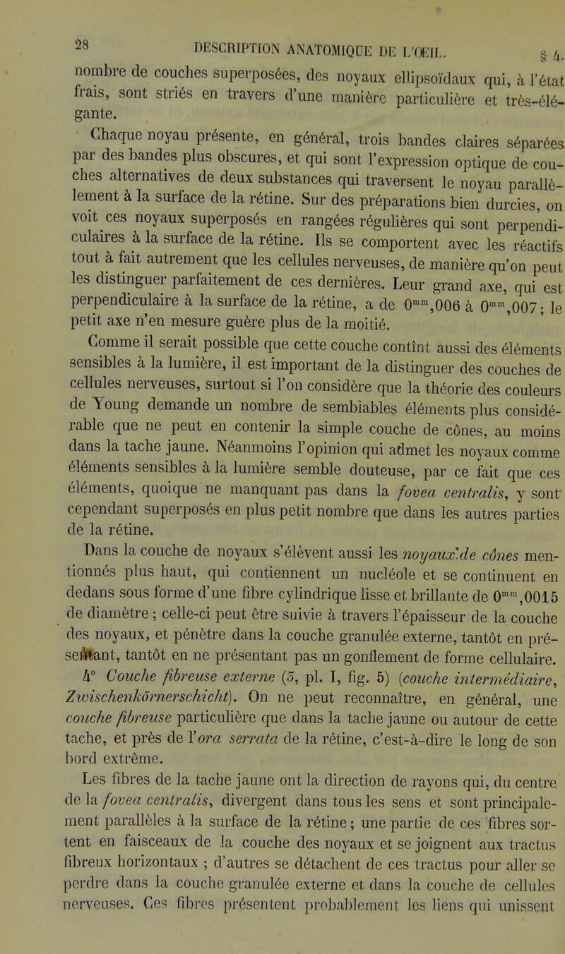 nombre de couches superposées, des noyaux ellipsoïdaux qui, à l'état frais, sont striés en travers d'une manière particulière et très-élé- gante. Chaque noyau présente, en général, trois bandes claires séparées par des bandes plus obscures, et qui sont l'expression optique de cou- ches alternatives de deux substances qui traversent le noyau parallè- lement à la surface de la rétine. Sur des préparations bien durcies, on voit ces noyaux superposés en rangées régulières qui sont perpendi- culaires à la surface de la rétine. Ils se comportent avec les réactifs tout à fait autrement que les cellules nerveuses, de manière qu'on peut les distinguer parfaitement de ces dernières. Leur grand axe, qui est perpendiculaire à la surface de la rétine, a de 0mra,006 à 0mm' 007- le petit axe n'en mesure guère plus de la moitié. Gomme il serait possible que cette couche contînt aussi des éléments sensibles à la lumière, il est important de la distinguer des couches de cellules nerveuses, surtout si l'on considère que la théorie des couleurs de Young demande un nombre de semblables éléments plus considé- rable que ne peut en contenir la simple couche de cônes, au moins dans la tache jaune. Néanmoins l'opinion qui admet les noyaux comme éléments sensibles à la lumière semble douteuse, par ce fait que ces éléments, quoique ne manquant pas dans la fovea centrâtes, y sont cependant superposés en plus petit nombre que dans les autres parties de la rétine. Dans la couche de noyaux s'élèvent aussi les noyaux.de cônes men- tionnés plus haut, qui contiennent un nucléole et se continuent en dedans sous forme d'une fibre cylindrique lisse et brillante de 0mm,0015 de diamètre ; celle-ci peut être suivie à travers l'épaisseur de la couche des noyaux, et pénètre dans la couche granulée externe, tantôt en pré- sentent, tantôt en ne présentant pas un gonflement de forme cellulaire. h° Couche fibreuse externe (5, pl. I, fig. 5) (couche intennédiaire, Zwischenkômerschicht). On ne peut reconnaître, en général, une couche fibreuse particulière que dans la tache jaune ou autour de cette tache, et près de Yora serrata de la rétine, c'est-à-dire le long de son bord extrême. Les fibres de la tache jaune ont la direction de rayons qui, du centre de la fovea centrâtes, divergent clans tous les sens et sont principale- ment parallèles à la surface de la rétine ; une partie de ces fibres sor- tent en faisceaux de la couche des noyaux et se joignent aux tractus fibreux horizontaux ; d'autres se détachent de ces tractus pour aller se perdre dans la couche granulée externe et dans la couche de cellules nerveuses. Ces fibres présentent probablemenl les liens qui unissant