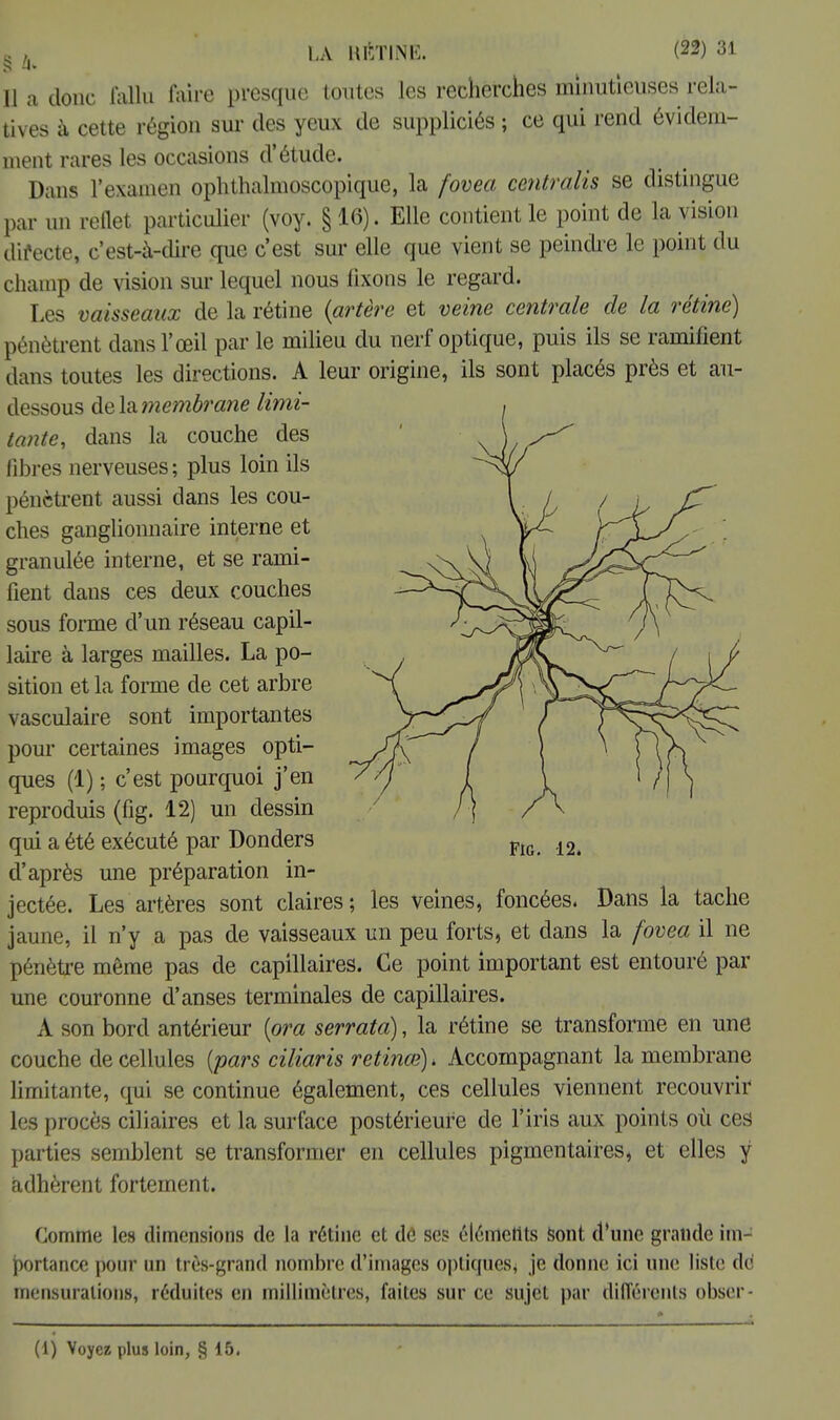 Il a donc fallu faire presque toutes les recherches minutieuses rela- tives à cette région sur des yeux de suppliciés ; ce qui rend évidem- ment rares les occasions d'étude. Dans l'examen ophthalmoscopique, la fovea centralis se distingue par un reflet particulier (voy. § 16). Elle contient le point de la vision directe, c'est-à-dire que c'est sur elle que vient se peindre le point du champ de vision sur lequel nous fixons le regard. Les vaisseaux de la rétine {artère et veine centrale de la rétine) pénètrent dans l'œil par le milieu du nerf optique, puis ils se ramifient dans toutes les directions. A leur origine, ils sont placés près et au- dessous delà membrane limi- tante, dans la couche des libres nerveuses ; plus loin ils pénètrent aussi dans les cou- ches ganglionnaire interne et granulée interne, et se rami- fient dans ces deux couches sous forme d'un réseau capil- laire à larges mailles. La po- sition et la forme de cet arbre vasculaire sont importantes pour certaines images opti- ques (1) ; c'est pourquoi j'en reproduis (fig. 12) un dessin qui a été exécuté par Donders d'après une préparation in- jectée. Les artères sont claires ; les veines, foncées. Dans la tache jaune, il n'y a pas de vaisseaux un peu forts, et dans la fovea il ne pénètre même pas de capillaires. Ce point important est entouré par une couronne d'anses terminales de capillaires. A son bord antérieur (ora serrata), la rétine se transforme en une couche de cellules [pars ciliaris retinœ) * Accompagnant la membrane limitante, qui se continue également, ces cellules viennent recouvrir les procès ciliaires et la surface postérieure de l'iris aux points où ces parties semblent se transformer en cellules pigmentaires, et elles y adhèrent fortement. Comme les dimensions de la rétine et dé ses éléments sont d'une grande im- jportance pour un très-grand nombre d'images optiques, je donne ici une liste Aé mensurations, réduites en millimètres, faites sur ce sujet par différents obser- (1) Voyez plus loin, § 15.