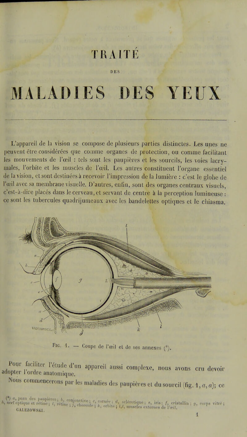 DES MALADIES DES YEUX L'appareil de la vision se compose de plusieurs parties distinctes. Les unes ne peuvent être considérées que comme organes de protection, ou comme facilitant les mouvements de l'œil : tels sont les paupières et les sourcils, les voies lacry- males, l'orbite et les muscles de l'œil. Les autres constituent l'organe essentiel de la vision, cl sont destinées à recevoir l'impression de la lumière : c'est le globe de l'œil avec sa membrane visuelle. D'autres, enfin, sont des organes centraux visuels, c'est-à-dire placés dans le cerveau, et servant de centre à la perception lumineuse: ce sont les tubercules quadrijumeaux avec les bandelettes opiiques et le cliiasma. Pour faciliter l'étude d'un appareil aussi complexe, nous avons cru devoir adopter I ordre anaiomique. Nous commencerons par les maladies des paupières et du sourcil (fig. 1, a, a); ce AVt^^^ ^clérotigue, iri.; f, o'orp. ritrê; ' 19 ' J»0I1OT°!; fc, orbite 5 miiBoles externes de l'œil. '■AI.L/.OWSKI.