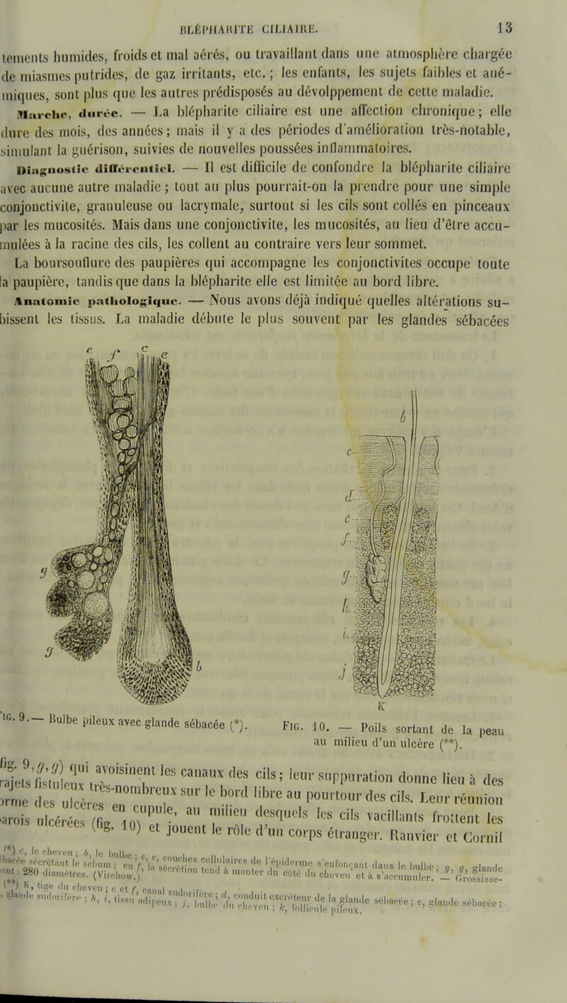 tenienls hamides, froids et mal aérés, ou travaillant dans une atmosphère chargée de miasmes putrides, de gaz irritants, etc. ; les enfants, les sujets faibles et ané- miques, sont plus que les autres prédisposés au dévolppement de cette maladie. Marche, durée. — La blépharite ciliaire est une affection chronique; elle dure des mois, des années; mais il y a des périodes d'amélioration très-notable, simulant la guérison, suivies de nouvelles poussées inflammatoires. Diagnostic différentiel. — Il est diflicile de confondre la blépharite ciliaire avec aucune autre maladie ; tout au plus pourrait-on la prendre pour une simple conjonctivite, granuleuse ou lacrymale, surtout si les cils sont collés en pinceaux par les mucosités. Mais dans une conjonctivite, les mucosités, au lieu d'être accu- mulées à la racine des cils, les collent au contraire vers leur sommet. La boursouflure des paupières qui accompagne les conjonctivites occupe toute !a paupière, tandis que dans la blépbarite elle est limitée au bord libre. Anatomie pathologique. — Nous avons déjà indiqué quelles altérations su- bissent les tissus. La maladie débute le plus souvent par les glandes sébacées •c 9.— Bulbe pileux avec glande sébacée (*). Fie. 10. — Poils sortant de la peau au milieu d'un ulcère (**). 2L^^.^?1 'CS CaaX <1CS Ci'S ; IC'' sPP«'«io donne lien h ,Ies n e 1 S °m S''10 b,0rd 'ibrC 3 l,,'t<' *» * K«r réuninn (6g. 10) et jonent le rôle d'nn corps étranger. Ranvier et Cornil