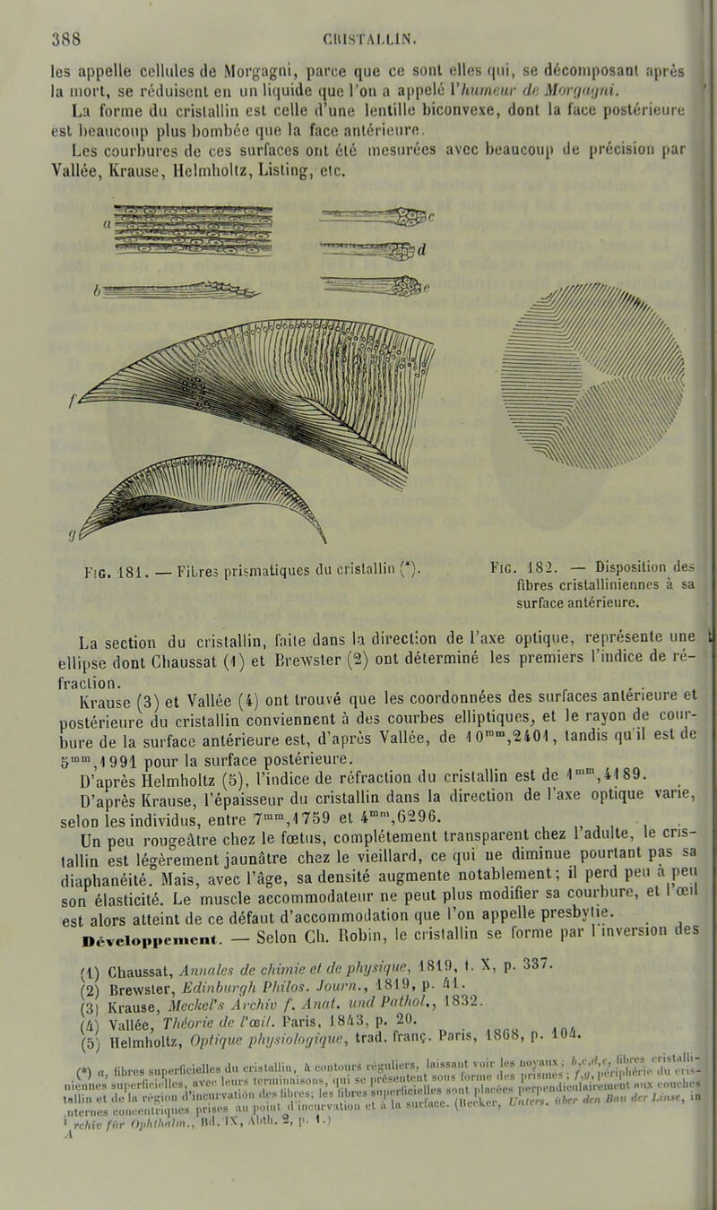 les appelle cellules de Morgagni, parce que ce sont elles qui, se décomposant après la mort, se réduisent en un liquide que l'on a appelé l'humeur de, Morgagnit La forme du cristallin est celle d'une lentille biconvexe, dont la face postérieure est beaucoup plus bombée que la face antérieure. Les courbures de ces surfaces ont été mesurées avec beaucoup de précision par Vallée, Krause, Helmhollz, Listing, etc. FiG. 181. — Fibres prismatiques du cristallin (*). Fie. 182. — Disposition dé- fibres cristallinienncs à sa surface antérieure. La section du cristallin, faile dans la direction de l'axe optique, représente une ellipse dont Chaussât (4) et Brewsler (S) ont déterminé les premiers l'indice de ré- fraction. . Krause (3) et Vallée (4) ont trouvé que les coordonnées des surfaces antérieure et postérieure du cristallin conviennent à des courbes elliptiques, et le rayon de cour- bure de la surface antérieure est, d'après Vallée, de 1 0,nm,<2401 , tandis qu'il est de 5°,4991 pour la surface postérieure. D'après Helmholtz (5), l'indice de réfraction du cristallin est de 1 t»m,4189. D'après Krause, l'épaisseur du cristallin dans la direction de l'axe optique varie, selon les individus, entre 7mm,1759 et 4mm,6296. Un peu rougeâtre chez le fœtus, complètement transparent chez 1 adulte, le cris- tallin est légèrement jaunâtre chez le vieillard, ce qui ne diminue pourtant pas sa diaphanéité. Mais, avec l'âge, sa densité augmente notablement; il perd peu a peu son élasticité. Le muscle accommodateur ne peut plus modifier sa courbure, et I œil est alors atteint de ce défaut d'accommodation que l'on appelle presbytie. Développement. — Selon Ch. Robin, le cristallin se forme par 1 inversion des (1) Chaussât, Annales de chimie et de physique, 1819, ». X, p. 337. (2) Brewsler, Edinburgh Philos. Journ., 1819, p. 41. (3) Krause, Meckel's Àrchiv f. Anal, und Patho/., 1832. (Il) Vallée, Théorie de l'œil. Paris, 1843, p. 20. (5) Helmholtz, Optique physiologique, trad. franç. Pans, 1868, p. 10û. m a libre» SUperOeielle9 du cristallin, a contours réguliers, laissant voir les noyaux; M*, rri. ( ) a, libres siipliuii terminaisons «mi se présentent sous forma des prismes; f,g, periplicrn mis niennes superficielles, avec leu s terminaisons, qui se proou i .„ mrpendien a rement «un couche» tnllin et de In région d'incurvation des libres; les !«W^S 7B^S ater dm B,n, der Urne, in nternes concentriques prises au point d ipcurvation et 6 la surface. [Beciter, u.ucrS. • rehXh fer OphtliMIm.., BBï Al,th- -< 