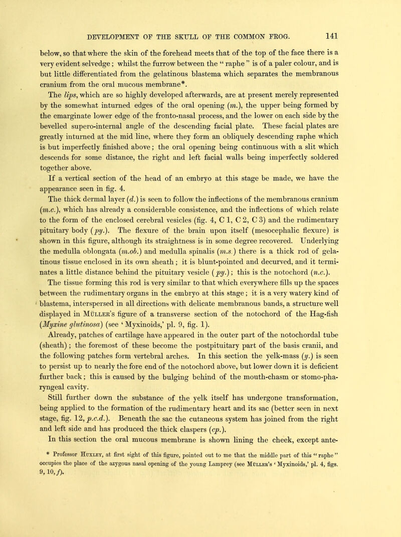 below, so that where the skin of the forehead meets that of the top of the face there is a very evident selvedge; whilst the farrow between the  raphe  is of a paler colour, and is but little differentiated from the gelatinous blastema which separates the membranous cranium from the oral mucous membrane*. The li])S, which are so highly developed afterwards, are at present merely represented by the somewhat inturned edges of the oral opening (w.), the upper being formed by the emarginate lower edge of the fronto-nasal process, and the lower on each side by the bevelled supero-internal angle of the descending facial plate. These facial plates are greatly inturned at the mid line, where they form an obliquely descending raphe which is but imperfectly finished above; the oral opening being continuous with a slit which descends for some distance, the right and left facial walls being imperfectly soldered together above. If a vertical section of the head of an embryo at this stage be made, we have the appearance seen in fig. 4. The thick dermal layer [d.) is seen to follow the inflections of the membranous cranium {m.c), which has already a considerable consistence, and the inflections of which relate to the form of the enclosed cerebral vesicles (fig. 4, CI, C 2, C 3) and the rudimentary pituitary body {py-). The flexure of the brain upon itself (mesocephalic flexure) is shown in this figure, although its straightness is in some degree recovered. Underlying the medulla oblongata (m.ob.) and medulla spinalis (m.s.) there is a thick rod of gela- tinous tissue enclosed in its own sheath; it is blunt-pointed and decurved, and it termi- nates a little distance behind the pituitary vesicle (^y.); this is the notochord (n.c). The tissue forming this rod is very similar to that which everywhere fills up the spaces between the rudimentary organs in the embryo at this stage; it is a very watery kind of ' blastema, interspersed in all directions with delicate membranous bands, a structure well displayed in Muller's figure of a transverse section of the notochord of the Hag-fish [Myxine glutinosa) (see ' Myxinoids,' pi. 9, fig. 1). Already, patches of cartilage have appeared in the outer part of the notochordal tube (sheath); the foremost of these become the postpituitary part of the basis cranii, and the following patches form vertebral arches. In this section the yelk-mass [y.) is seen to persist up to nearly the fore end of the notochord above, but lower down it is deficient further back; this is caused by the bulging behind of the mouth-chasm or stomo-pha- ryngeal cavity. Still further down the substance of the yelk itself has undergone transformation, being applied to the formation of the rudimentary heart and its sac (better seen in next stage, fig. \2,p.c.d.). Beneath the sac the cutaneous system has joined from the right and left side and has produced the thick claspers {cp.). In this section the oral mucous membrane is shown lining the cheek, except ante- * Professor Httxlet, at first sight of this figure, pointed out to me that the middle part of this  raphe  occupies the place of the azygous nasal opening of the young Lamprey (see Muileb's ' Myxinoids,' pi. 4, figs. 9,io,y).