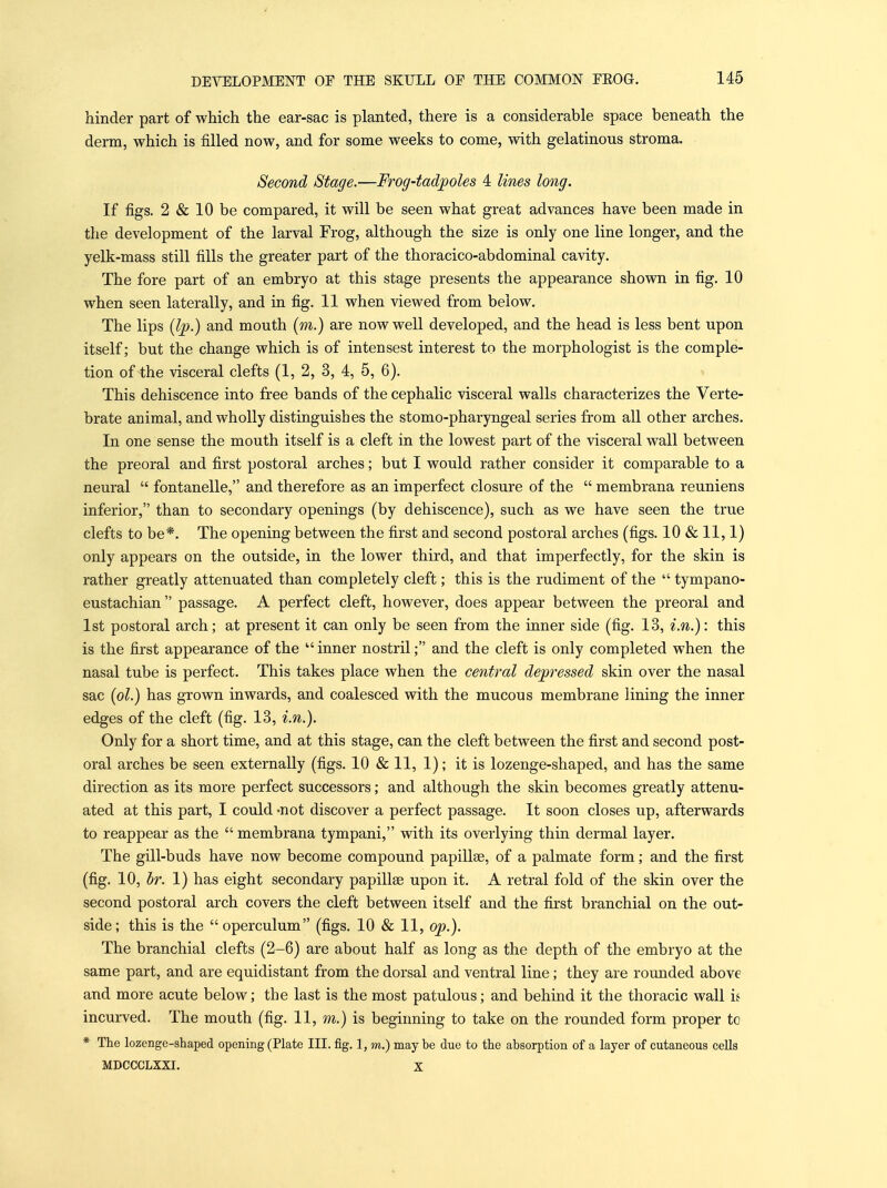 hinder part of which the ear-sac is planted, there is a considerable space beneath the derm, which is filled now, and for some weeks to come, with gelatinous stroma. Second Stage.—Frog-tadpoles 4 lines lo7ig. If figs. 2 & 10 be compared, it will be seen what great advances have been made in the development of the larval Frog, although the size is only one line longer, and the yelk-mass still fills the greater part of the thoracico-abdominal cavity. The fore part of an embryo at this stage presents the appearance shown in fig. 10 when seen laterally, and in fig. 11 when viewed from below. The lips (Ip.) and mouth (m.) are now well developed, and the head is less bent upon itself; but the change which is of intensest interest to the morphologist is the comple- tion of the visceral clefts (1, 2, 3, 4, 5, 6). This dehiscence into free bands of the cephalic visceral walls characterizes the Verte- brate animal, and wholly distinguishes the stomo-pharyngeal series from all other arches. In one sense the mouth itself is a cleft in the lowest part of the visceral wall between the preoral and first postoral arches; but I would rather consider it comparable to a neural  fontanelle, and therefore as an imperfect closure of the  membrana reunions inferior, than to secondary openings (by dehiscence), such as we have seen the true clefts to be*. The opening between the first and second postoral arches (figs. 10 »& 11,1) only appears on the outside, in the lower third, and that imperfectly, for the skin is rather greatly attenuated than completely cleft; this is the rudiment of the  tympano- eustachian  passage. A perfect cleft, however, does appear between the preoral and 1st postoral arch; at present it can only be seen from the inner side (fig. 13, i.n.): this is the fijrst appearance of the inner nostril; and the cleft is only completed when the nasal tube is perfect. This takes place when the central depressed skin over the nasal sac (ol.) has grown inwards, and coalesced with the mucous membrane lining the inner edges of the cleft (fig. 13, i.n.). Only for a short time, and at this stage, can the cleft between the first and second post- oral arches be seen externally (figs. lO&ll, 1); it is lozenge-shaped, and has the same direction as its more perfect successors; and although the skin becomes greatly attenu- ated at this part, I could -not discover a perfect passage. It soon closes up, afterwards to reappear as the  membrana tympani, with its overlying thin dermal layer. The gill-buds have now become compound papillae, of a palmate form; and the first (fig. 10, br. 1) has eight secondary papillae upon it. A retral fold of the skin over the second postoral arch covers the cleft between itself and the first branchial on the out- side; this is the operculum (figs. 10 & 11, op.). The branchial clefts (2-6) are about half as long as the depth of the embryo at the same part, and are equidistant from the dorsal and ventral line; they are rounded above and more acute below; the last is the most patulous; and behind it the thoracic wall u incurved. The mouth (fig. 11, m.) is beginning to take on the rounded form proper to * The lozenge-shaped opening (Plate III. fig. 1, m.) may be due to the absorption of a layer of cutaneous cells MDCCCLXXI. X