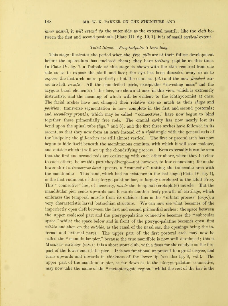 inner nostril, it will extend to the outer side as the external nostril; like the cleft be- tween the first and second postorals (Plate III. fig. 10,1), it is of small vertical extent. Third Stage.— 'Frog-tad'poles 5 lines long. This stage illustrates the period when the free gills are at their fullest development before the operculum has enclosed them; they have tertiary papillae at this time. In Plate IV. fig. 7, a Tadpole at this stage is shown with the skin removed from one side so as to expose the skull and face; the eye has been dissected away so as to expose the first arch more perfectly; but the nasal sac {ol.) and the now finished ear- sac are left in situ. All the chondrified parts, except the investing mass and the azygous basal elements of the face, are shown at once in this view, which is extremely instructive, and the meaning of which will be evident to the ichthyotomist at once. The facial arches have not changed their relative size so much as their shape and position; transverse segmentation is now complete in the first and second postorals; and secondary groivths, which may be called  connectives, have now begun to bind together these primordially free rods. The cranial cavity has now nearly lost its bend upon the spinal tube (figs. 7 and 8); and the first three arches have followed in its ascent, so that they now form an acute instead of a right angle with the general axis of the Tadpole; the gill-arches are still almost vertical. The first or preoral arch has now begun to hide itself beneath the membranous cranium, with which it will soon coalesce, and outside which it will set up the chondrifying process. Even externally it can be seen that the first and second rods are coalescing with each other above, where they lie close to each other; below this part they diverge—not, however, to lose connexion; for at the lower third a transverse band appears, a connective uniting the trabecular arch with the mandibular. This band, which had no existence in the last stage (Plate IV. fig. 1), is the first rudiment of the pteiygo-palatine bar, so largely developed in the adult Frog. This connective lies, of necessity, inside the temporal (crotaphite) muscle. But the mandibular pier sends upwards and forwards another leafy growth of cartilage, which embraces the temporal muscle from its outside; this is the  orbitar process (or.p.), a very characteristic larval batrachian structure. We can now see what becomes of the imperfectly open cleft between the first and second primordial arches: the space between the upper coalesced part and the pterygo-palatine connective becomes the  subocular space, whilst the space below and in front of the pterygo-palatine becomes open, first within and then on the outside, as the canal of the nasal sac, the openings being the in- ternal and external nares. The upper part of the first postoral arch may now be called the  mandibular pier, because the true mandible is now well developed; this is Meckel's cartilage (mk.); it is a short stout club, with a fossa for the condyle on the fore part of the lower end of the pier. It is not functional at present to a great degree, and turns upwards and inwards in thickness of the lower lip (see also fig. 8, mk.). The upper part of the mandibular pier, as far down as to the pterygo-palatine connective, may now take the name of the  metapterygoid region, whilst the rest of the bar is the