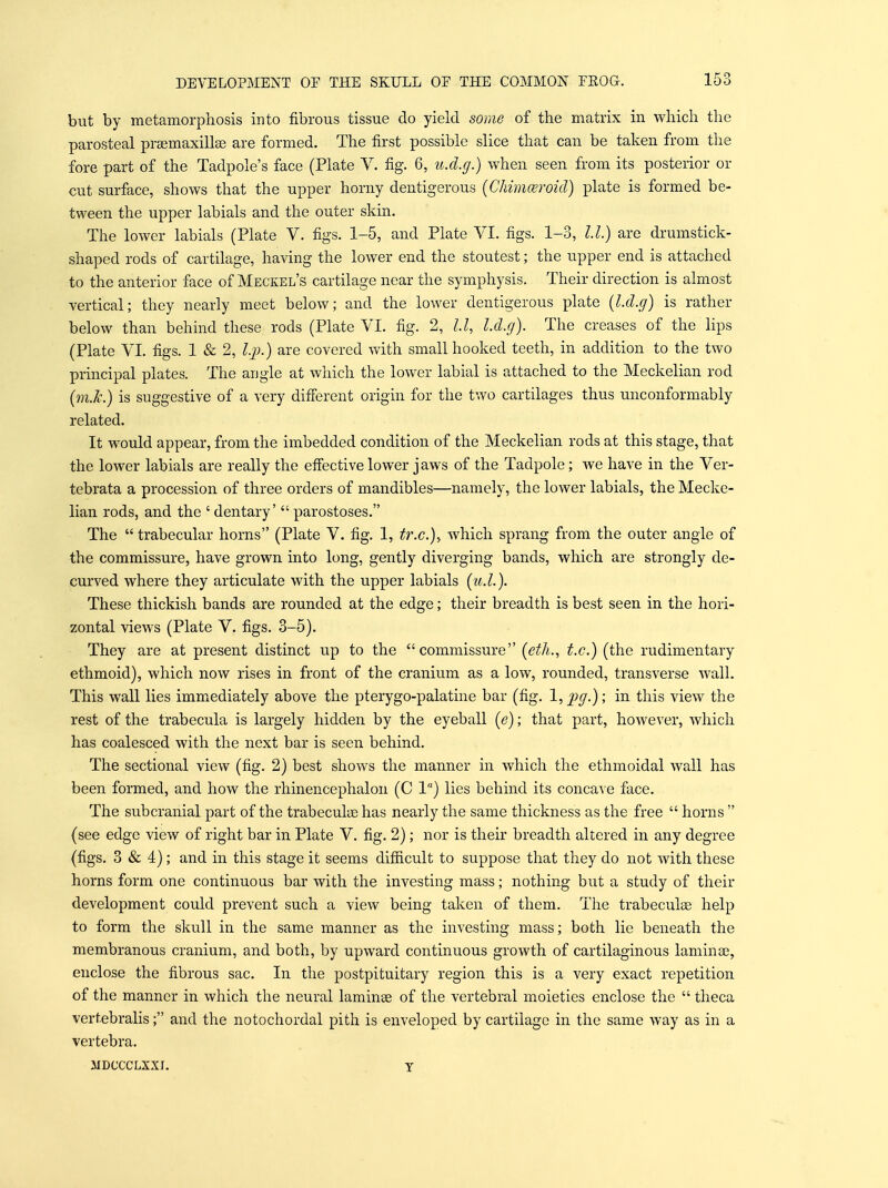 but by metamorphosis into fibrous tissue do yield some of the matrix in which the parosteal prsemaxillse are formed. The first possible slice that can be taken from the fore part of the Tadpole's face (Plate V. fig. 6, u.d.g.) when seen from its posterior or cut surface, shows that the upper horny dentigerous (Chimceroicl) plate is formed be- tween the upper labials and the outer skin. The lower labials (Plate V. figs. 1-5, and Plate VI. figs. 1-3, U.) are drumstick- shaped rods of cartilage, having the lower end the stoutest; the upper end is attached to the anterior face of Meckel's cartilage near the symphysis. Their direction is almost vertical; they nearly meet below; and the lower dentigerous plate (l.d.g) is rather below than behind these rods (Plate VI. fig. 2, 11, l.d.g). The creases of the lips (Plate VI. figs. 1 & 2, l.p.) are covered with small hooked teeth, in addition to the two principal plates. The angle at which the lower labial is attached to the Meckelian rod {m.k.) is suggestive of a very difierent origin for the two cartilages thus unconformably related. It would appear, from the imbedded condition of the Meckelian rods at this stage, that the lower labials are really the efiective lower jaws of the Tadpole; we have in the Ver- tebrata a procession of three orders of mandibles—namely, the lower labials, the Mecke- lian rods, and the ' dentary'  parostoses. The  trabecular horns (Plate V. fig. 1, tr.c.)^ which sprang from the outer angle of the commissure, have grown into long, gently diverging bands, which are strongly de- curved where they articulate with the upper labials [u.l.]. These thickish bands are rounded at the edge; their breadth is best seen in the hori- zontal views (Plate V. figs. 3-6). They are at present distinct up to the commissure [eth., t.c.) (the rudimentary ethmoid), which now rises in front of the cranium as a low, rounded, transverse Avail. This wall lies immicdiately above the pterygo-palatine bar (fig. 1, 'j)g.); in this view the rest of the trabecula is largely hidden by the eyeball (<?); that part, however, which has coalesced with the next bar is seen behind. The sectional view (fig. 2) best shows the manner in which the ethmoidal wall has been formed, and how the rhinencephalon (C 1) lies behind its concave face. The subcranial part of the trabeculae has nearly the same thickness as the free  horns  (see edge view of right bar in Plate V. fig. 2); nor is their breadth altered in any degree (figs, 3 & 4); and in this stage it seems difficult to suppose that they do not with these horns form one continuous bar with the investing mass; nothing but a study of their development could prevent such a view being taken of them. The trabeculse help to form the skull in the same manner as the investing mass; both lie beneath the membranous cranium, and both, by upward continuous growth of cartilaginous laminas, enclose the fibrous sac. In the postpituitary region this is a very exact repetition of the manner in which the neural laminae of the vertebral moieties enclose the  tlieca vertebralis; and the notochordal pith is enveloped by cartilage in the same way as in a vertebra. MDCCCLXXI. T