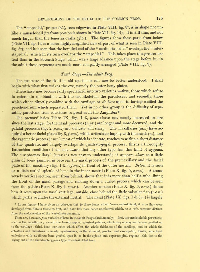 The  stapedial, proper {sf.}, seen edgewise in Plate VIII. fig. 8% is in shape not un- like a mussel-shell (its front portion is shown in Plate VII. fig. 14); it is still thin, and not much larger than the fenestra ovalis (/o.). The figures show these parts from below (Plate VII. fig. 14 is a more highly magnified view of part of what is seen in Plate VIII. fig. 8); and it is seen that the bevelled end of the  medio-stapedial overlaps the  inter- stapedial, which in its turn overlaps the  stapedial. This takes place to a greater ex- tent than in the Seventh Stage, which was a large advance upon the stage before it; in the adult these segments are much more compactly arranged (Plate VIII. fig. 9). Tenth Stage.—The adult Frog. The.structure of the skull in old specimens can now be better understood. I shall begin with what first strikes the eye, namely the outer bony plates. These have now become fairly specialized into two varieties:—first, those which refuse to enter into combination with the endoskeleton, the parostoses; and secondly, those which either directly combine with the cartilage or lie bare upon it, having ossified the perichondrium which separated them. Yet in no other group is the difficulty of sepa- rating parostoses from ectostoses so great as in the Amphibia*. The premaxillaries (Plate IX. figs. 1-3, p.mx.) have not merely increased in size since the last stage; for the nasal processes [n.jpx.) are longer and more decurved, and the palatal processes (fig. 2, p.px.) are delicate and sharp. The maxillaries {mx.) have ac- quired a better facial plate (fig. ^, f.inx.}, which articulates largely with the nasals (n.); and the zygomatic process (z.inx.), most of which is edentate, reaches to within a short distance of the quadrate, and largely overlaps its quadrato-jugal process; this is a thoroughly Batrachian condition; I am not aware that any other type has this kind of zygoma. The septo-maxillary (s.inx.) is not easy to understand; it appears above as a little grain of bone jammed in between the nasal process of the premaxillary and the facial plate of the maxillary (figs. 1 & 3,f.inx.) in front of the outer nostril. Below, it is seen as a little curled spicule of bone in the inner nostril (Plate X. fig. 5, s.mx.). A trans- versely vertical section, seen from behind, shows that it is more than half a tube, lining the front of the nasal passage and sending down a curled process which can be seen from the palate (Plate X. fig. 4, s.mx.). Another section (Plate X. fig. 6, s.mx.) shows how it rests upon the nasal cartilage, outside, close behind the little valvular flap (v.e.n.) which partly occludes the external nostril. The nasal (Plate IX. figs. 1 & 3,7i.) is largely * In my figures I have given an ochreous tint to those bones which become endoskeletal, if even they were developed from fibrous tissue at first, and have left those bones uncoloured which, as a rule, continue distinct from the endoskeleton of the Yertebrata generally. There are, however, four varieties of bone in the adult Frog's skull, namely:—first, the unmistakable parostoses, such as the maxiUaries ; second, the loosely applied ectosteal patches, which may or may not become grafted on to the cartilage; third, bone-territories which aff'ect the whole thickness of the cartilage, and in which the ectostosis and endostosis is nearly synchronous, as the ethmoid, prootic, and esoccipital; fourth, superficial endostosis with no fibrous bone grafted upon it, as in the epiotic and superoccipital regions; this last is the dying out of the chondropterygeous type of endoskeletal bone.