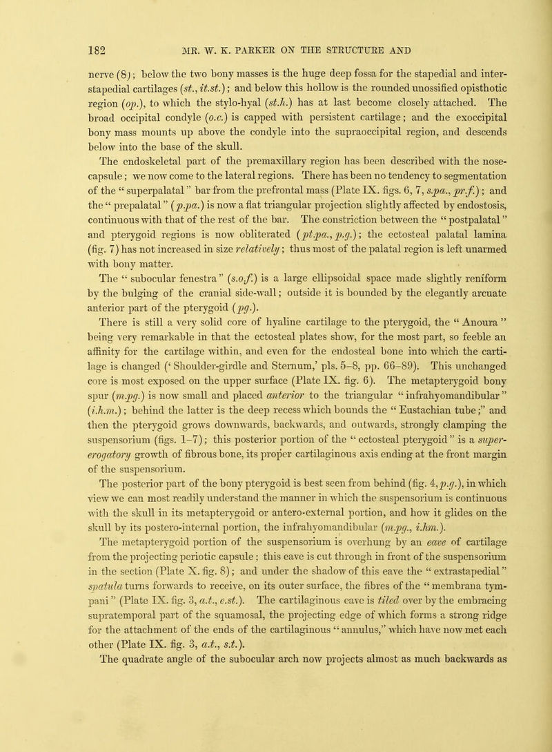 nerve (8j; below the two bony masses is the huge deep fossa for the stapedial and inter- stapedial cartilages (st., it.st.); and below this hollow is the rounded unossified opisthotic region {op.), to which the stylo-hyal (sf.h.) has at last become closely attached. The broad occipital condyle (o.c.) is capped with persistent cartilage; and the exoccipital bony mass mounts up above the condyle into the supraoccipital region, and descends below into the base of the skull. The endoskeletal part of the premaxillary region has been described with the nose- capsule ; we now come to the lateral regions. There has been no tendency to segmentation of the  superpalatal bar from the prefrontal mass (Plate IX. figs. 6, 7, s.pa., jpr.f.); and the  prepalatal [p.])a.) is now a fiat triangular projection slightly afiected by endostosis, continuous with that of the rest of the bar. The constriction between the  postpalatal and pterygoid regions is now obliterated [jit.pa.,]).g.); the ectosteal palatal lamina (fig. 7) has not increased in size relatively; thus most of the palatal region is left unarmed with bony matter. The  subocular fenestra  (s.o.f.) is a large ellipsoidal space made slightly reniform by the bulging of the cranial side-wall; outside it is bounded by the elegantly arcuate anterior part of the pterygoid (^^.). There is still a very solid core of hyaline cartilage to the pterygoid, the  Anoura  being very remarkable in that the ectosteal plates show, for the most part, so feeble an affinity for the cartilage within, and even for the endosteal bone into which the carti- lage is changed (' Shoulder-girdle and Sternum,' pis. 5-8, pp. 66-89). This unchanged core is most exposed on the upper surface (Plate IX. fig. 6). The metapterygoid bony spur {ni.pg.) is now small and placed anterior to the triangular  infrahyomandibular  (i.h.m.); behind the latter is the deep recess which bounds the Eustachian tube; and then the pterygoid grows downwards, backwards, and outwards, strongly clamping the suspensorium (figs. 1-7); this posterior portion of the  ectosteal pterygoid  is a siiper- erogatory growth of fibrous bone, its proper cartilaginous axis ending at the front margin of the suspensorium. The posterior part of the bony pterygoid is best seen from behind (fig. 4,2).g.), in which view we can most readily understand the manner in which the suspensorium is continuous with the skull in its metapterygoid or antero-external portion, and how it glides on the skull by its postero-internal portion, the infrahyomandibular (in.j}g., iJim.). The metapterygoid portion of the suspensorium is overhung by an eave of cartilage from the projecting periotic capsule; this eave is cut through in front of the suspensorium in the section (Plate X. fig. 8); and under the shadow of this eave the  extrastapedial spatula ivLXws forwards to receive, on its outer surface, the fibres of the membrana tym- pani  (Plate IX. fig. 3, a.t., e.st.). The cartilaginous eave is tiled over by the embracing supratemporal part of the squamosal, the projecting edge of which forms a strong ridge for the attachment of the ends of the cartilaginous  annulus, which have now met each other (Plate IX. fig. 3, a.t., s.t.). The quadrate angle of the subocular arch now projects almost as much backwards as