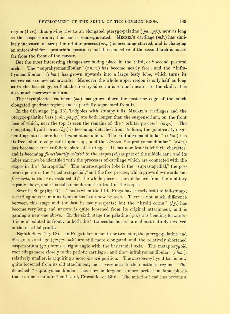 region (1 tr.), thus giving rise to an elongated pterygo-palatine {pa.^pg.), now as long as the suspensorium; this bar is semisegmented. Meckel's cartilage {mk.) has simi- larly increased in size; the orbitar process {or.p.) is becoming starved, and is changing an anteorbital for a postorbital position; and the connective of the second arch is not so far from the front of the ear-sac. But the most interesting changes are taking place in the third, or  second postoral arch. The  suprahyomandibular (s.h.m.) has become nearly free; and the infra- hyomandibular (iJim.) has grown upwards into a large leafy lobe, which turns its convex side somewhat inwards. Moreover the whole upper region is only half as long as in the last stage, so that the free hyoid cornu is so much nearer to the skull; it is also much narrower in form. The  symplectic  rudiment (sy.) has grown down the posterior edge of the much elongated quadrate region, and is partially segmented from it. In the 6 th stage (fig. 16), Tadpoles with stumpy tails, Meckel's cartilages and the pterygo-palatine bars (mk., pa.jog.) are both longer than the suspensorium, on the front face of which, near the top, is seen the remains of the  orbitar process  [or.p.). The elongating hyoid cornu {hy.) is becoming detached from its fossa, the joint-cavity dege- nerating into a mere loose ligamentous union. The  infrahyomandibular  (i.hm.) has its free lobular edge still higher up; and the starved  suprahyomandibular  [s.lim.) has become a free trifoliate plate of cartilage. It has now lost its ichthyic character, and is becoming functionally related to the stapes [st.) as part of the middle ear; and its lobes can now be identified with the processes of cartilage which are connected with the stapes in the  Sauropsida. The antero-superior lobe is the  suprastapedial, the pos- tero-superior is the  medio-stapedial, and the free process, which grows downwards and forwards, is the  extrastapedial; the whole piece is now detached from the auditory capsule above, and it is still some distance in front of the stapes. Seventh Stage (fig. 17).—This is Avhen the little Frogs have nearly lost the tail-stump ; a cartilaginous  annulus tympanicus  can now be seen. Tliere is not much difference between this stage and the last in many respects; but the  hyoid cornu  [hy.) has become very long and narrow, is quite loosened from its original attachment, and is gaining a new one above. In the sixth stage the palatine [pa.) was bending forwards; it is now pointed in front; in both the  trabecular horns are almost entirely involved in the nasal labyrinth. Eighth Stage (fig. 18).—In Frogs taken a month or two later, the pterygo-palatine and Meckel's cartilage {pa.pg., mk.) are still more elongated, and the relatively shortened suspensorium [qu.) forms a right angle with the basicranial axis. The metapterygoid root clings more closely to the periotic cartilage; and the  infrahyomandibular {i.hm.), relatively smaller, is acquiring a more imvard position. The narrotving hyoid bar is now quite loosened from its old attachment, and is very near to the opisthotic region. The detached  suprahyomandibular has now undergone a more perfect metamorphosis than can be seen in either Lizard, Crocodile, or Bird. The anterior head has become a