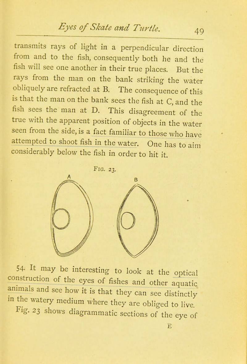 Eyes of Skate and Turtle. transmits rays of light in a perpendicular direction from and to the fish, consequently both he and the fish will see one another in their true places. But the rays from the man on the bank striking the water obliquely are refracted at B. The consequence of this is that the man on the bank sees the fish at C, and the fish sees the man at D. This disagreement of the true with the apparent position of objects in the water seen from the side, is a fact familiar to those who have a^g?Pjed to shoot fish in the water. One has to aim considerably below the fish in order to hit it. Fig. zx. 54- It may be interesting to look at tlie optical construction of the eyes of fishes and other aquatic animals and see how it is that they can see distinctly m the watery medium where they are obliged to live.