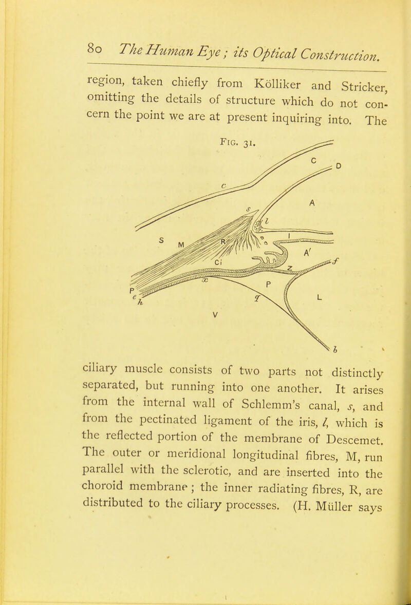 region, taken chiefly from Kolliker and Strieker, omitting the details of structure which do not con- cern the point we are at present inquiring into. The ciliary muscle consists of two parts not distinctly separated, but running into one another. It arises from the internal wall of Schlemm's canal, and from the pectinated ligament of the iris, /, which is the reflected portion of the membrane of Descemet. The outer or meridional longitudinal fibres, M, run parallel with the sclerotic, and are inserted into the choroid membrane; the inner radiating fibres, R, are distributed to the ciliary processes. (H. Muller says I