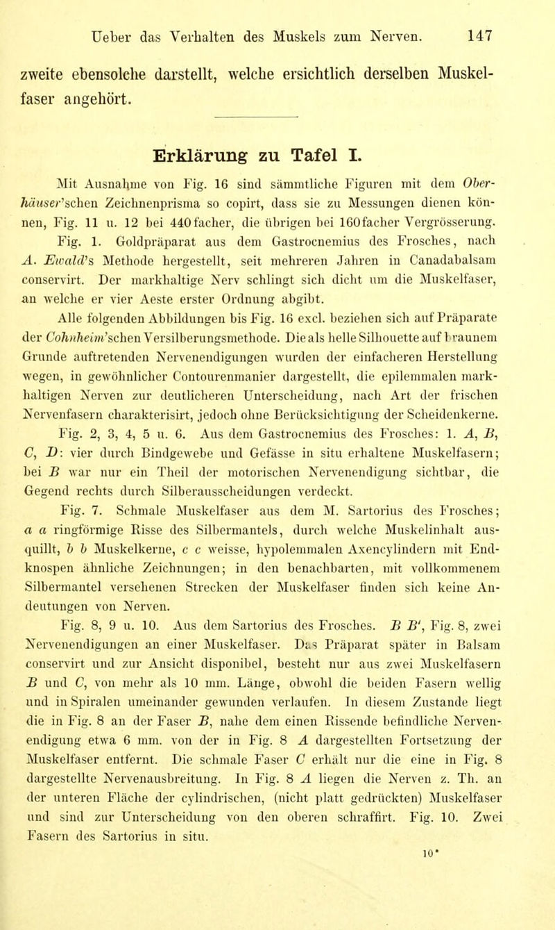 zweite ebensolche darstellt, welche ersichtlich derselben Muskel- faser angehört. Erklärung zu Tafel I. Mit Ausnahme von Fig. 16 sind sämnitliche Figuren mit dem Ober- häuser''sehen Zeiclinenprisma so copirt, dass sie zu Messungen dienen kön- nen, Fig. 11 u. 12 bei 440facher, die übrigen bei 160facher Vergrösserung. Fig. 1. Goklpräparat aus dem Gastrocnemius des Frosches, nach Ä. EwakVs Methode hergestellt, seit mehreren Jahren in Canadabalsam conservirt. Der markhaltige Nerv schlingt sich dicht um die Muskelfaser, an welche er vier Aeste erster Ordnung abgibt. Alle folgenden Abbildungen bis Fig. 16 excl. beziehen sich auf Präparate der CoÄHÄeujt'sehen Versilberungsmethode. Die als helle Silhouette auf I raunem Grunde auftretenden Nervenendigungen wurden der einfacheren Herstellung wegen, in gewöhnlicher Contourenmanier dargestellt, die epilemmalen mark- haltigen Nerven zur deutlicheren Unterscheidung, nach Art der frischen Nervenfasern charakterisirt, jedoch ohne Berücksichtigung der Scheideukerne. Fig. 2, 3, 4, 5 u. 6. Aus dem Gastrocnemius des Frosches: 1. A, B, C, -D: vier durch Bindgewebe und Gefässe in situ erhaltene Muskelfasern; hei B war nur ein Theil der motorischen Nervenendigung sichtbar, die Gegend rechts durch Silberausscheidungen verdeckt. Fig. 7. Schmale Muskelfaser aus dem M. Sartorius des PVosches; a a ringförmige Risse des Silbermantels, durch welche Muskelinhalt aus- quillt, b b Muskelkerne, c c weisse, hypolemmalen Axencylindern mit End- knospen ähnliche Zeichnungen; in den benachbarten, mit vollkommenem Silbermantel versehenen Strecken der Muskelfaser finden sich keine An- deutungen von Nerven. Fig. 8, 9 u. 10. Aus dem Sartorius des Frosches. B B', Fig. 8, zwei Nervenendigungen an einer Muskelfaser. Di.s Präparat später in Balsam conservirt und zur Ansicht disponibel, besteht nur aus zwei Muskelfasern B und C, von mehr als 10 mm. Länge, obwohl die beiden Fasern wellig und in Spiralen umeinander gewunden verlaufen. In diesem Zustande liegt die in Fig. 8 an der Faser B, nahe dem einen Rissende befindliche Nerven- endigung etwa 6 mm. von der in Fig. 8 Ä dargestellten Fortsetzung der Muskelfaser entfernt. Die schmale Faser C erhält nur die eine in Fig. 8 dargestellte Nervenausbreitung. In Fig. 8 Ä liegen die Nerven z. Th. an der unteren Fläche der cylindrischen, (nicht platt gedrückten) Muskelfaser und sind zur Unterscheidung von den oberen schraffirt. Fig. 10. Zwei Fasern des Sartorius in situ. 10*