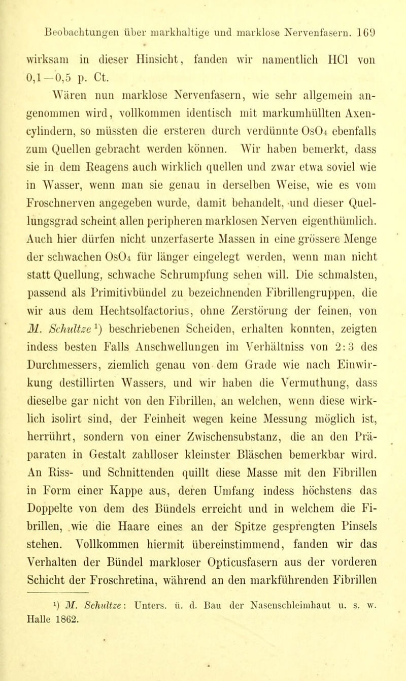 wirksam in dieser Hinsicht, fanden wir nanieutlich HCl von 0,1-0,5 p. Ct. Wären nun marklose Nervenfasern, wie sehr allgemein an- genommen wird, vollkommen identisch mit mavkumhüllten Axen- cylindern, so müssten die ersteren durch verdünnte OsOi ebenfalls zum Quellen gebracht werden können. Wir haben bemerkt, dass sie in dem Reagens auch wirklich quellen und zwar etwa soviel wie in Wrisser, wenn man sie genau in derselben Weise, wie es vom Froschnerven angegeben wurde, damit behandelt, und dieser Quel- lungsgrad scheint allen peripheren niarklosen Nerven eigenthümlich. Auch hier dürfen nicht unzerfaserte Massen in eine grössere Menge der schwachen OsOi für länger eingelegt werden, wenn man nicht statt Quellung, schwache Schrumpfung sehen will. Die schmälsten, passend als Primitivbündel zu bezeichnenden Fibrillengruppen, die wir aus dem Hechtsolfactorius, ohne Zerstörung der feinen, von M. Schnitze ^) beschriebenen Scheiden, erhalten konnten, zeigten indess besten Falls Anschwellungen im Verhältniss von 2:3 des Durchmessers, ziemlich genau von dem Grade wie nach Einwir- kung destillirten Wassers, und wir haben die Vermuthung, dass dieselbe gar niclit von den Fibrillen, an welchen, wenn diese wirk- lich isolirt sind, der Feinheit wegen keine Messung möglich ist, herrührt, sondern von einer Zwischensubstanz, die an den Prä- paraten in Gestalt zahlloser kleinster Bläschen bemerkbar wird. An Riss- und Schnittenden quillt diese Masse mit den Plbrillen in Form einer Kappe aus, deren Umfang indess höchstens das Doppelte von dem des Bündels erreicht und in welchem die Fi- brillen, wie die Haare eines an der Spitze gesprengten Pinsels stehen. Vollkommen hiermit übereinstimmend, fanden wir das Verhalten der Bündel markloser Opticusfasern aus der vorderen Schicht der Froschretina, während an den markführenden Fibrillen M. Schnitze: Unters, ü. d. Bau der Nasenschleimhaut u. s. w. Halle 1862.