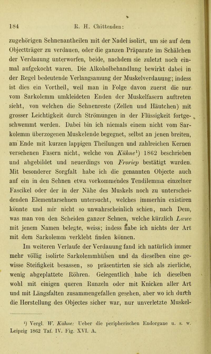 zugehörigen Sehnenantheilen mit der Nadel isolirt, um sie auf dem Objectträger zu verdauen, oder die ganzen Präparate im Schälchen der Verdauung unterworfen, beide, nachdem sie zuletzt noch ein- mal aufgekocht waren. Die Alkoholbehandlung bewirkt dabei in der Regel bedeutende Verlangsamung der Muskel Verdauung; indess ist dies ein Vortheil, weil man in Folge davon zuerst die nur vom Sarkolemm umkleideten Enden der Muskelfasern auftreten sieht, von welchen die Sehnenreste (Zellen und Häutchen) mit grosser Leichtigkeit durch Strömungen in der Flüssigkeit fortge-» schwemmt werden. Dabei bin ich niemals einem nicht vom Sar- kolemm überzogenen Muskelende begegnet, selbst an jenen breiten, am Ende mit kurzen lappigen Theilungen und zahlreichen Kernen versehenen Fasern nicht, welche von Kühne^) 1862 beschrieben und abgebildet und neuerdings von Froriep bestätigt wurden. Mit besonderer Sorgfalt habe ich die genannten Objecte auch auf ein in den Sehnen etwa vorkommendes Tendilemma einzelner Fascikel oder der in der Nähe des Muskels noch zu unterschei- denden Elementarsehnen untersucht, welches immerhin existiren könnte und mir nicht so unwahrscheinlich schien, nach Dem, was man von den Scheiden ganzer Sehnen, welche kürzhch Lceive mit jenem Namen belegte, weiss; indess fiabe ich nichts der Art mit dem Sarkolemm verklebt finden können. Im weiteren Verlaufe der Verdauung fand ich natürlich immer mehr völhg isolirte Sarkolemmhülsen und da dieselben eine ge- wisse Steifigkeit besassen, so präsentirten sie sich als zierliche, wenig abgeplattete Röhren. Gelegentlich habe ich dieselben wohl mit einigen queren Runzeln oder mit Knicken aller Art und mit Längsfalten zusammengefallen gesehen, aber wo ich duith die Herstellung des Objectes sicher war, nur unverletzte Muskel- Vergl. W. Kühne: Ueber die peripherischen Endorgane u. s. w. Leipzig 1862 Taf. IV. Fig. XVI. A.