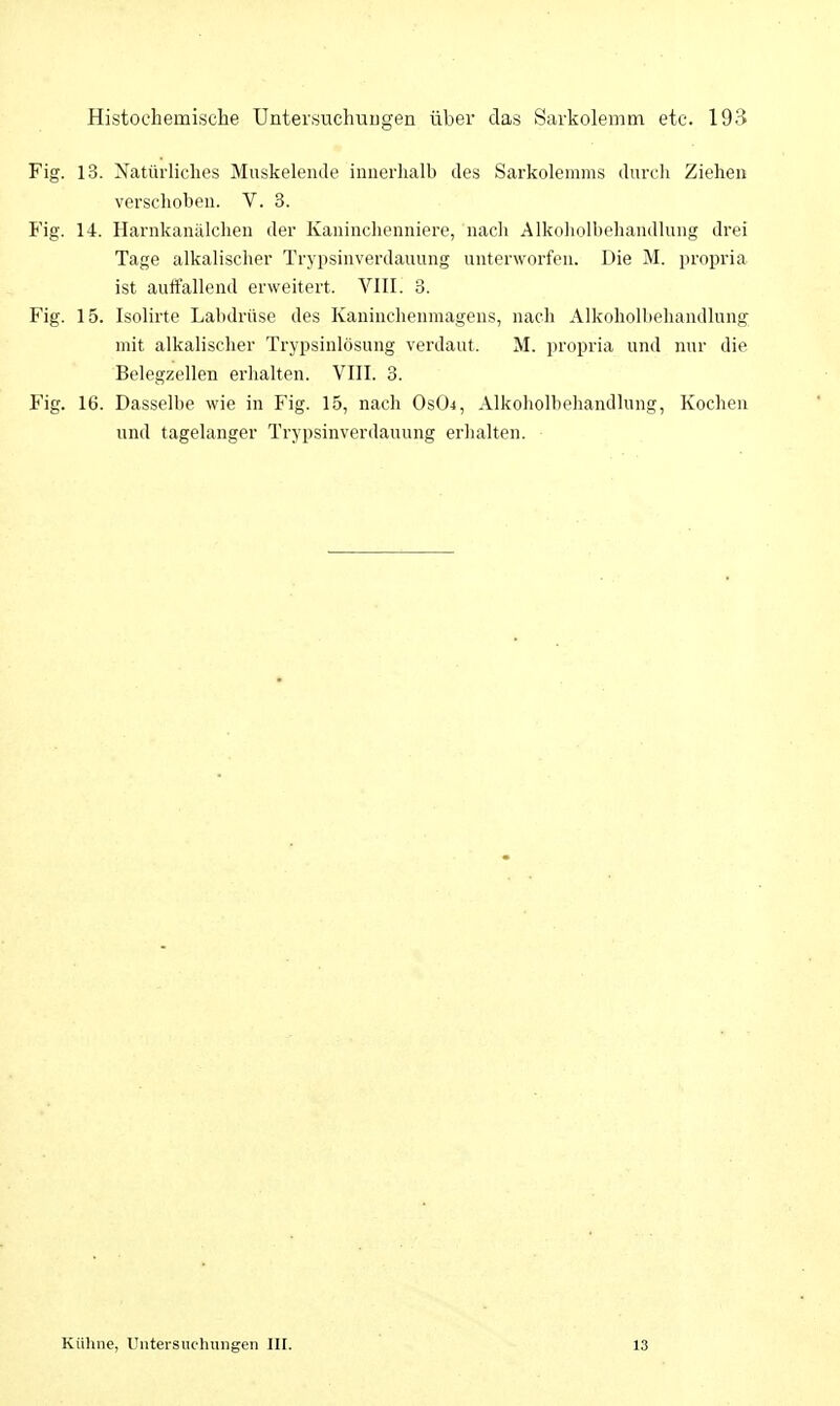 Fig. 13. Natürliches Muskeleiule innerhalb des Sarkolemms durch Ziehen verschoben. V. 3. Fig. 14. Harnkanälchen der Kaninchenniere, nach Alkoholbehandlung drei Tage alkalischer Trypsinverdauung unterworfen. Die M. propria ist auffallend erweitert. VIII. 3. Fig. 15. Isolirte Labdrüse des Kaninchenmagens, nach Alkoholbehandlung mit alkalischer Trypsinlösung verdaut. M. propria und nur die Belegzellen erhalten. VIII. 3. Fig. 16. Dasselbe wie in Fig. 15, nach Os04, Alkoholbeliandlung, Kochen und tagelanger Trypsinverdauung erhalten. Kühne, Untersuchungen III. 13