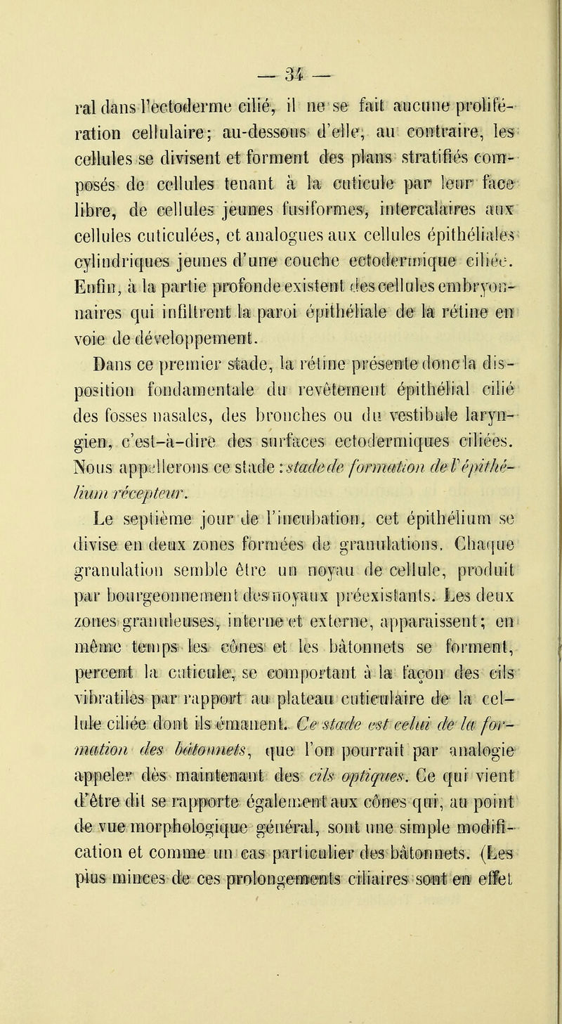 ration cellulaire; au-dessous d'elle, au contraire, les cellules se divisent et forment des plans stratifiés com- posés de cellules tenant à la cuticule par leur face libre, de cellules jeunes fusiformes, intercalaires aux cellules cuticulées, et analogues aux cellules épithéliales cylindriques jeunes d'une couche eetodertnique ciliée. Enfin, à la partie profonde existent des cellules embryon- naires qui infiltrent la paroi épithéliale de la rétine en voi e d e dé veloppement. Dans ce premier stade, la rétine présente donc la dis- position fondamentale du revêtement épithélial cilié des fosses nasales, des bronches ou du vestibule laryn- gien, c'est-à-dire des surfaces ectodermiques ciliées. Nous appellerons ce stade : stade de formation deVépithé- lium récepteur. Le sepiième jour de l'incubation, cet épithélium se divise en deux zones formées de granulations, Chaque granulation semble être un noyau de cellule, produit par bourgeonnement des noyaux préexistants. Les deux zones granuleuses, interne et externe, apparaissent; en même temps les cônes et les bâtonnets se forment, percent la cuticule, se comportant à la façon des cils vibratiles par rapport au plateau cuticulaire de la cel- lule ciliée dont ils émanent. Ce stade est celai de la for- mation des bâtonnets, que l'on pourrait par analogie appeler dès maintenant des cils optiques. Ce qui vient d'être dit se rapporte également aux cônes qui , au point de vue morphologique général, sont une simple modifi- cation et comme un cas particulier des bâtonnets. (Les plus minces de ces prolongements cili aires sont en effet