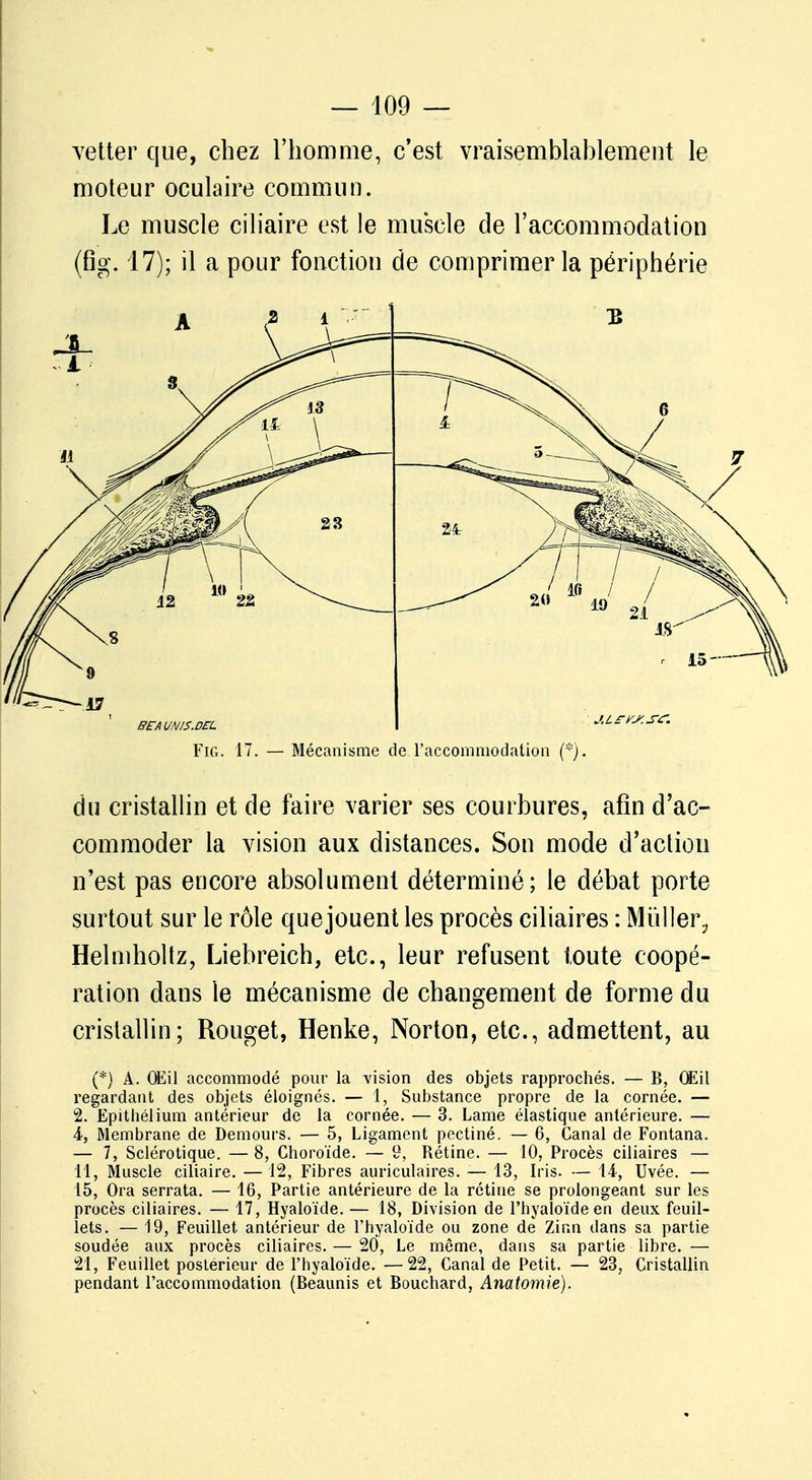 vetter que, chez l'homme, c'est vraisemblablement le moteur oculaire commun. Le muscle ciliaire est le muscle de l'accommodation (fig. 17); il a pour fonction de comprimer la périphérie bea unis. del Fig. 17 Mécanisme de l'accommodation (*). du cristallin et de faire varier ses courbures, afin d'ac- commoder la vision aux distances. Son mode d'action n'est pas encore absolument déterminé; le débat porte surtout sur le rôle quejouent les procès ciliaires : Mùller? Helmholtz, Liebreich, etc., leur refusent toute coopé- ration dans le mécanisme de changement de forme du cristallin; Rouget, Henke, Norton, etc., admettent, au (*) A. Œil accommodé pour la vision des objets rapprochés. — B, Œil regardant des objets éloignés. — 1, Substance propre de la cornée. — 2. Epithélium antérieur de la cornée. — 3. Lame élastique antérieure. — 4, Membrane de Demours. — 5, Ligament pectiné. — 6, Canal de Fontana. — 7, Sclérotique. — 8, Choroïde. — 9, Rétine. — 10, Procès ciliaires — 11, Muscle ciliaire. — 12, Fibres auriculaires. — 13, Iris. — 14-, Uvée. — 15, Ora serrata. — 16, Partie antérieure de la rétine se prolongeant sur les procès ciliaires. — 17, Hyaloïde. — 18, Division de l'hyaloïde en deux feuil- lets. — 19, Feuillet antérieur de l'hyaloïde ou zone de Zinn dans sa partie soudée aux procès ciliaires. — 20, Le même, dans sa partie libre. — 21, Feuillet postérieur de l'hyaloïde. —22, Canal de Petit. — 23, Cristallin pendant l'accommodation (Beaunis et Bouchard, Anatomie).