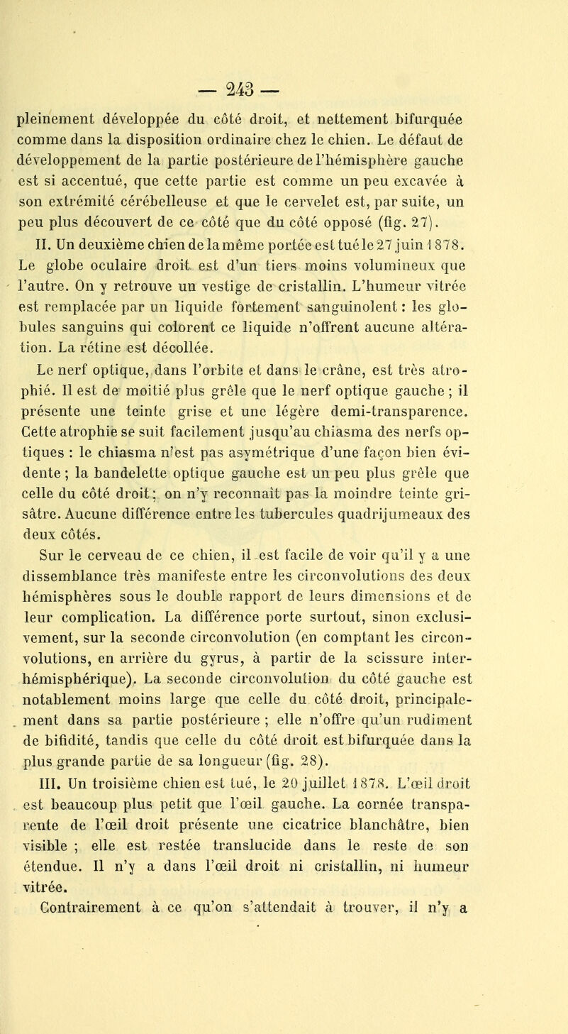 pleinement développée du côté droit, et nettement bifurquée comme dans la disposition ordinaire chez le chien. Le défaut de développement de la partie postérieure de l'hémisphère gauche est si accentué, que cette partie est comme un peu excavée à son extrémité cérébelleuse et que le cervelet est, par suite, un peu plus découvert de ce côté que du côté opposé (fig. 27). II. Un deuxième chien de la même portée est tué le 27 juin i 878. Le globe oculaire droit est d'un tiers moins volumineux que l'autre. On y retrouve un vestige de cristallin. L'humeur vitrée est remplacée par un liquide fortement sanguinolent : les glo- bules sanguins qui colorent ce liquide n'offrent aucune altéra- tion. La rétine est décollée. Le nerf optique, dans l'orbite et dans le crâne, est très atro- phié. Il est de moitié plus grêle que le nerf optique gauche ; il présente une teinte grise et une légère demi-transparence. Cette atrophie se suit facilement jusqu'au chiasma des nerfs op- tiques : le chiasma n'est pas asymétrique d'une façon bien évi- dente ; la bandelette optique gauche est un peu plus grêle que celle du côté droit; on n'y reconnaît pas la moindre teinte gri- sâtre. Aucune différence entre les tubercules quadrijumeaux des deux côtés. Sur le cerveau de ce chien, il est facile de voir qu'il y a une dissemblance très manifeste entre les circonvolutions des deux hémisphères sous le double rapport de leurs dimensions et de leur complication. La différence porte surtout, sinon exclusi- vement, sur la seconde circonvolution (en comptant les circon- volutions, en arrière du gyrus, à partir de la scissure inter- hémisphérique). La seconde circonvolution du côté gauche est notablement moins large que celle du côté droit, principale- ment dans sa partie postérieure; elle n'offre qu'un rudiment de bifidité, tandis que celle du côté droit est bifurquée dans la plus grande partie de sa longueur (fig. 28). III. Un troisième chien est tué, le 20 juillet 1878. L'œil droit est beaucoup plus petit que l'œil gauche. La cornée transpa- rente de l'œil droit présente une cicatrice blanchâtre, bien visible ; elle est restée translucide dans le reste de son étendue. Il n'y a dans l'œil droit ni cristallin, ni humeur vitrée. Contrairement à ce qu'on s'attendait à trouver, il n'y a